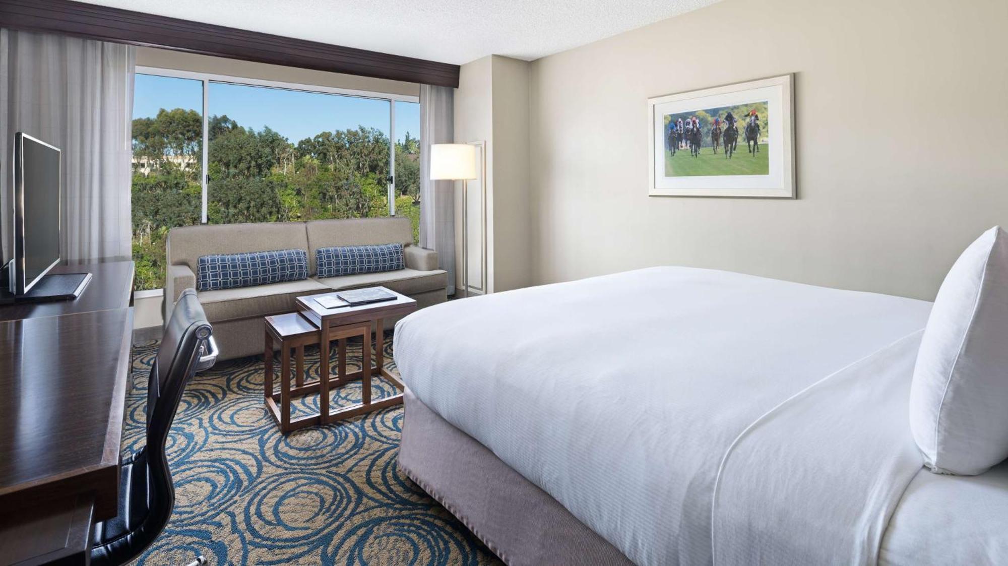 King Room with Sofa Bed and Pool View