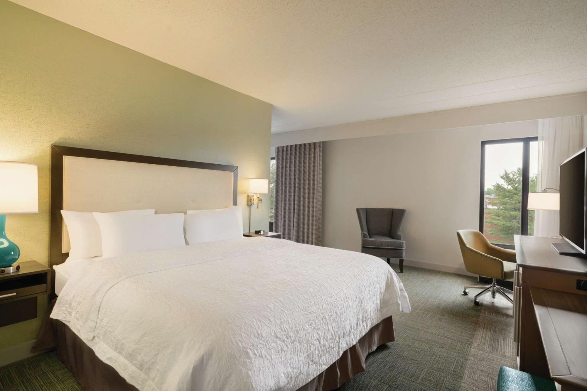 Mini King Suite with Sofa Bed - Non-Smoking