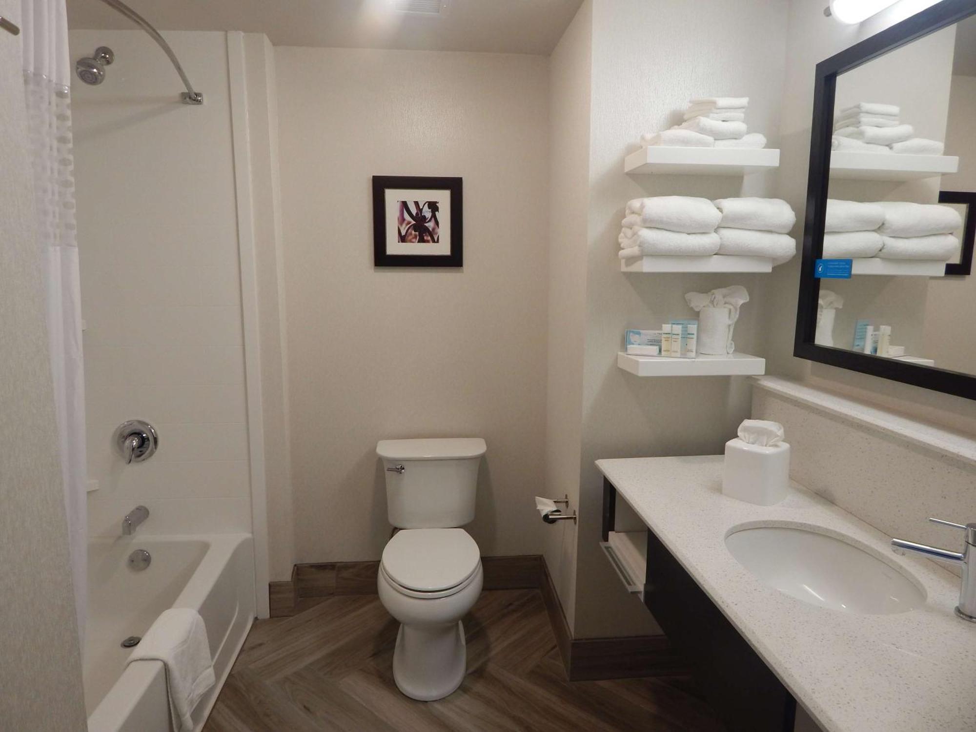King Room Roll Shower Mobility Hearing Access