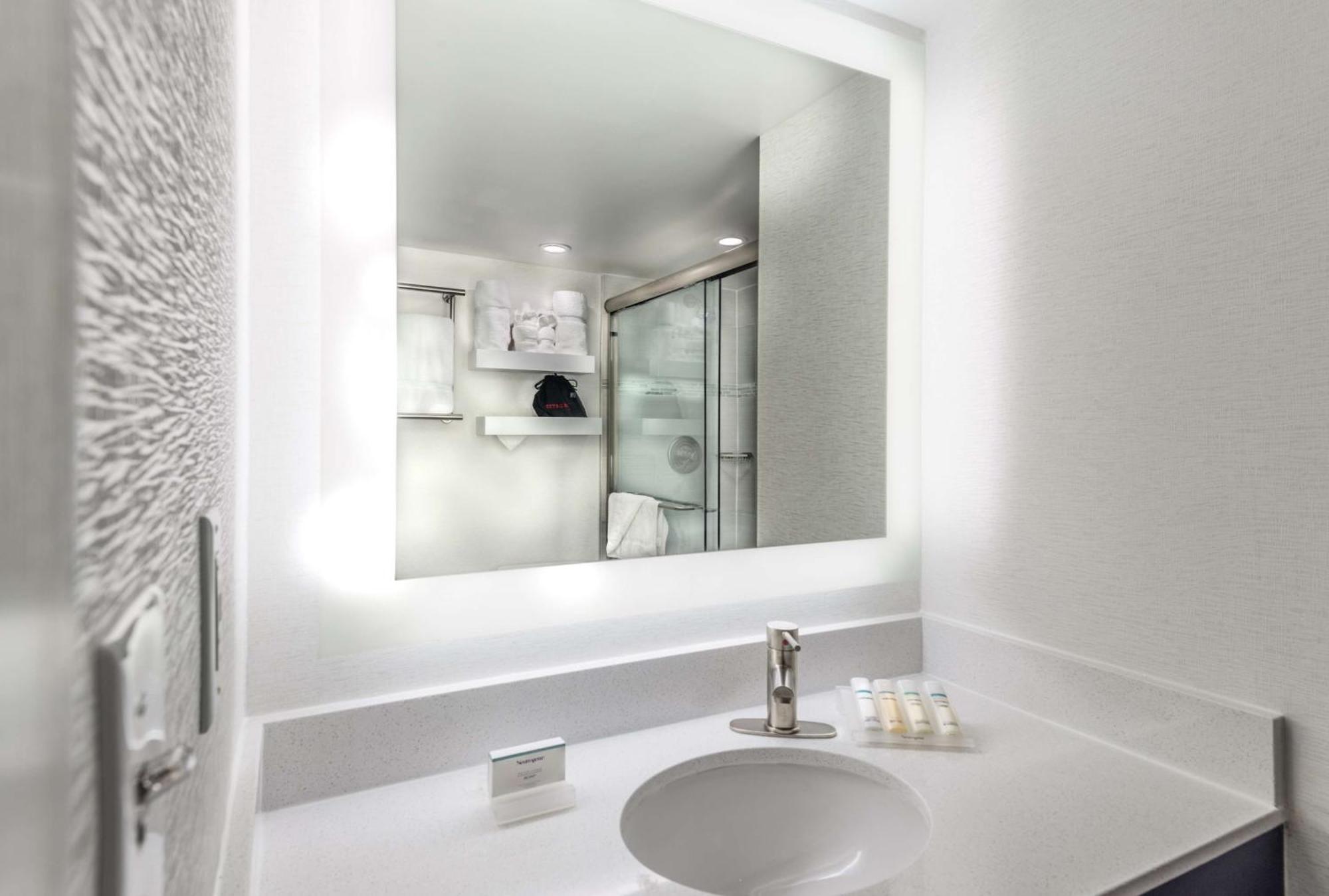 Standard One-Bedroom King Suite