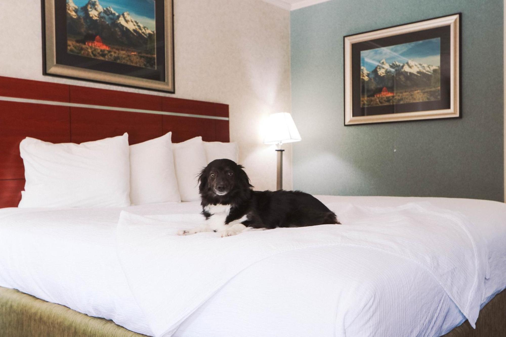 Room Selected at Check