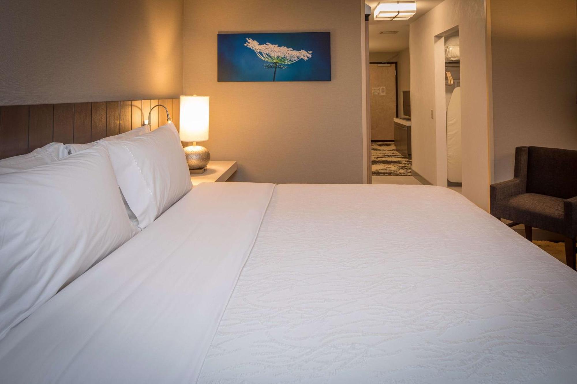 Premium King Room