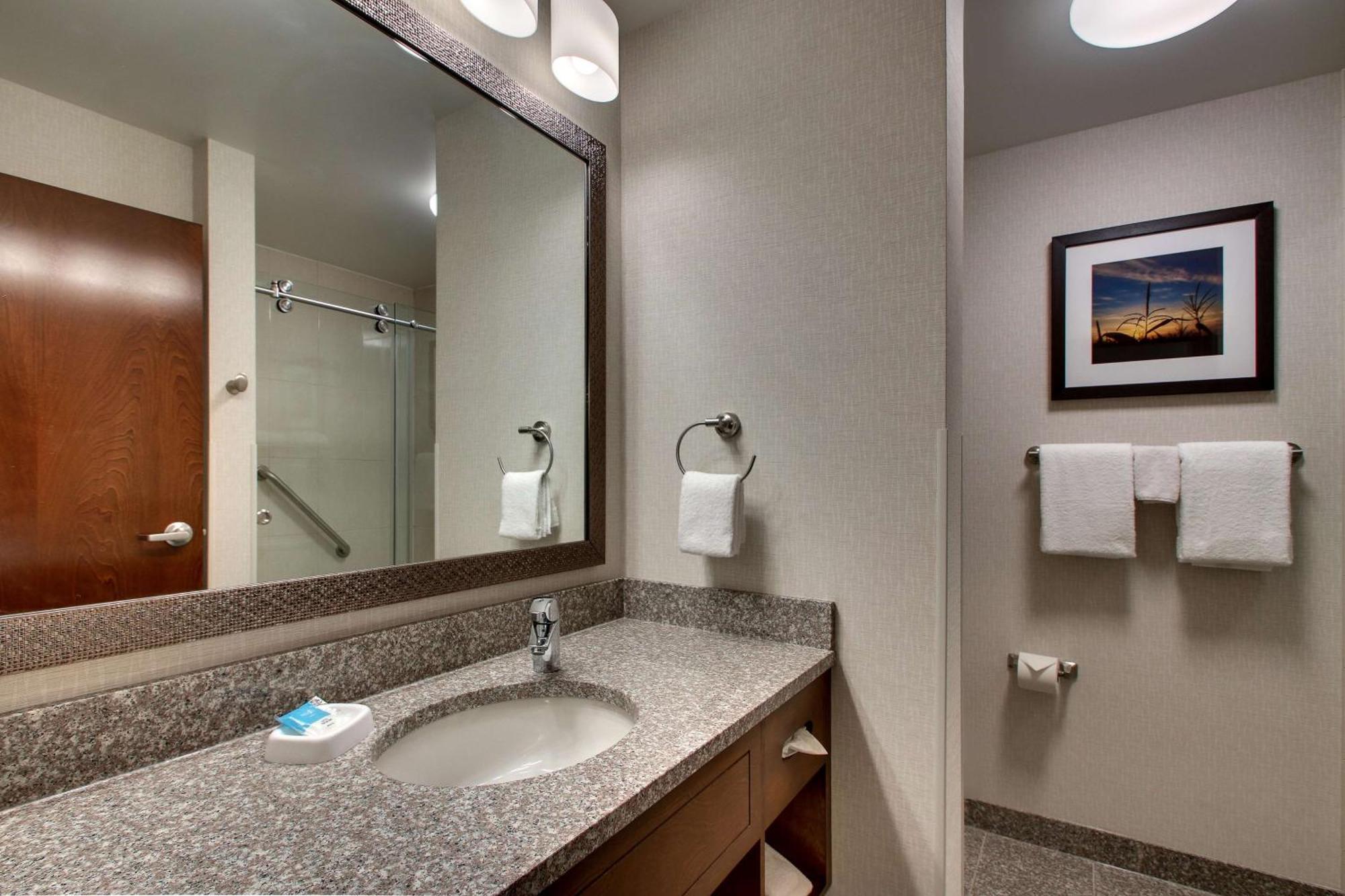 Deluxe King Suite