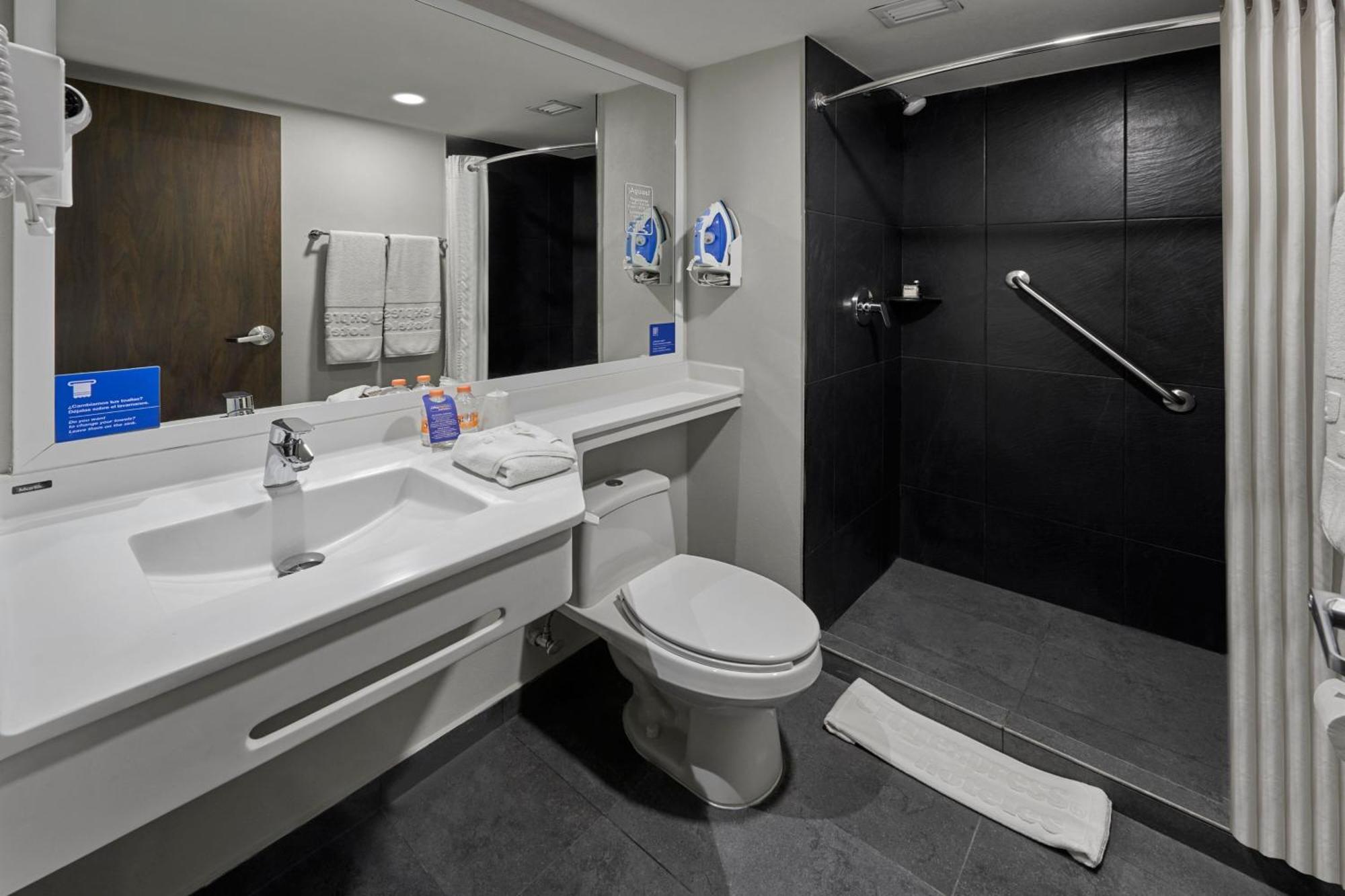 Suite with One Queen Bed and Sofa Bed