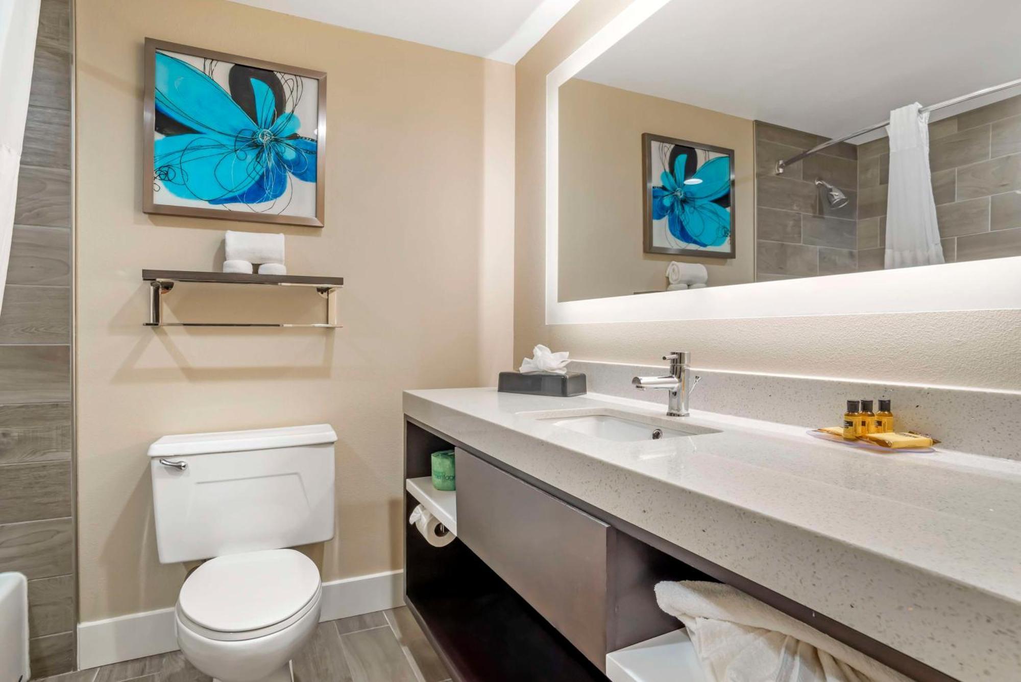 King Suite with Sofa Bed
