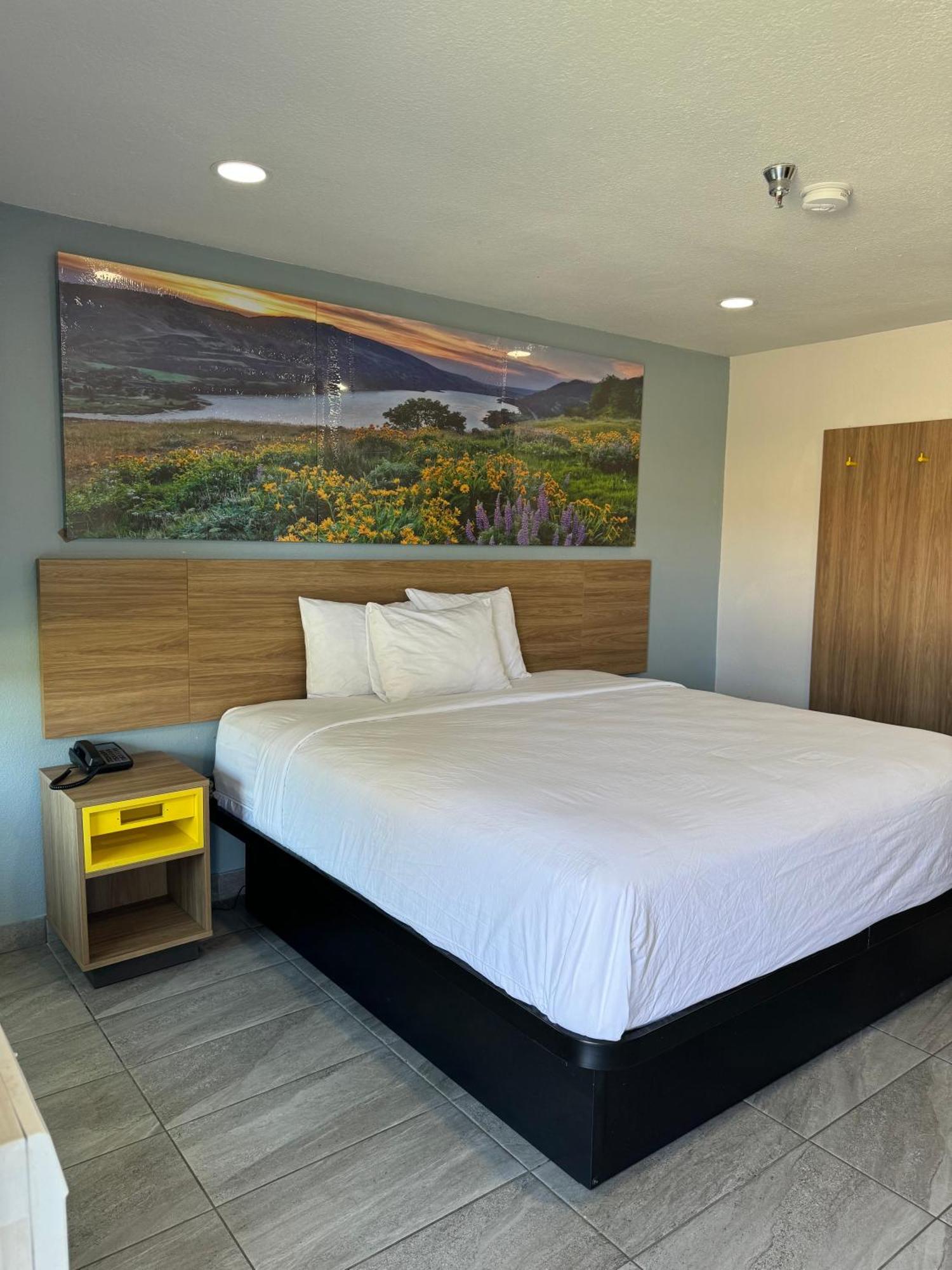 King Room Mobility or Hearing Access Roll Shower Non-Smoking