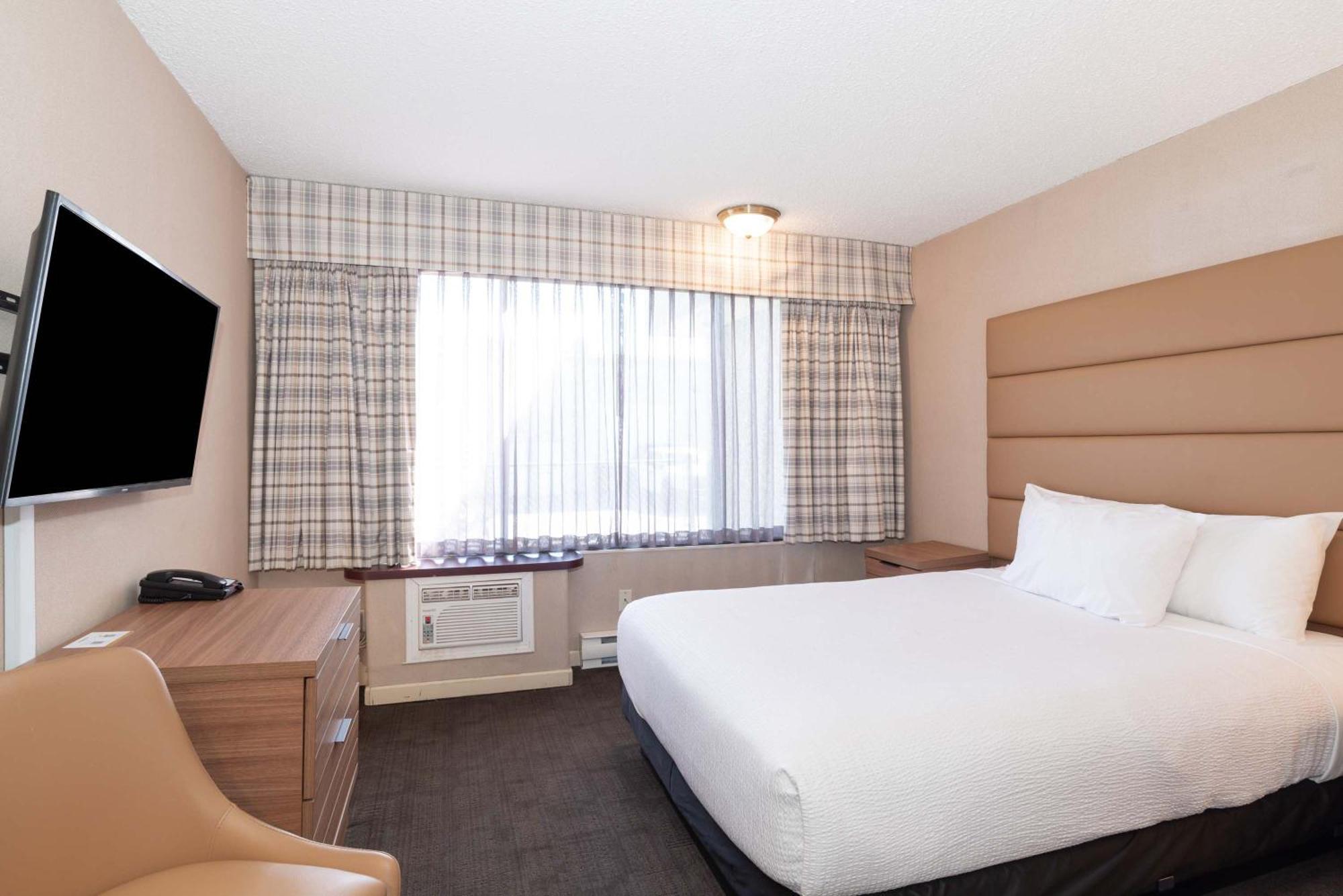 Studio Suite, 1 Queen Bed, Kitchen