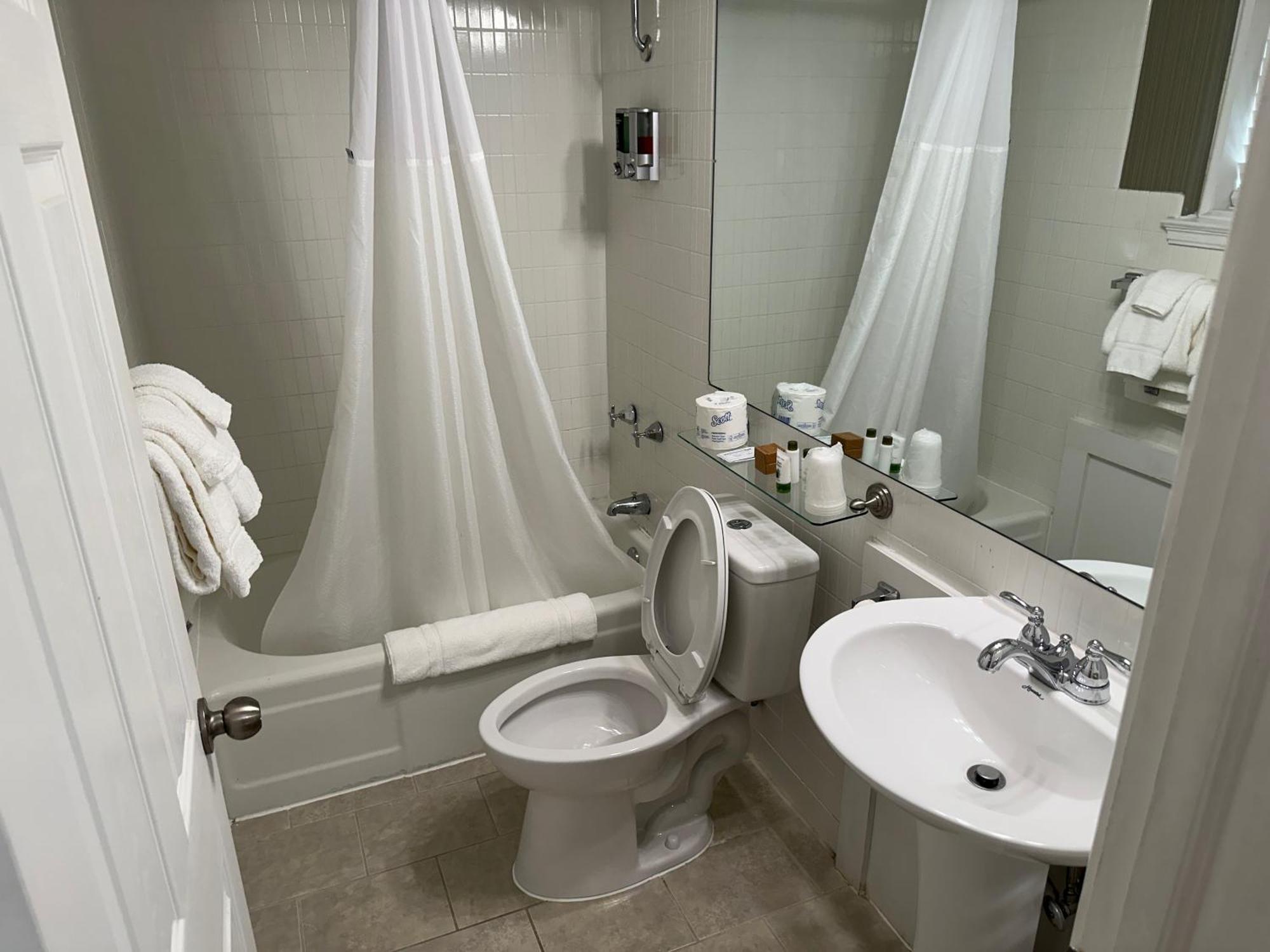 Deluxe King Suite
