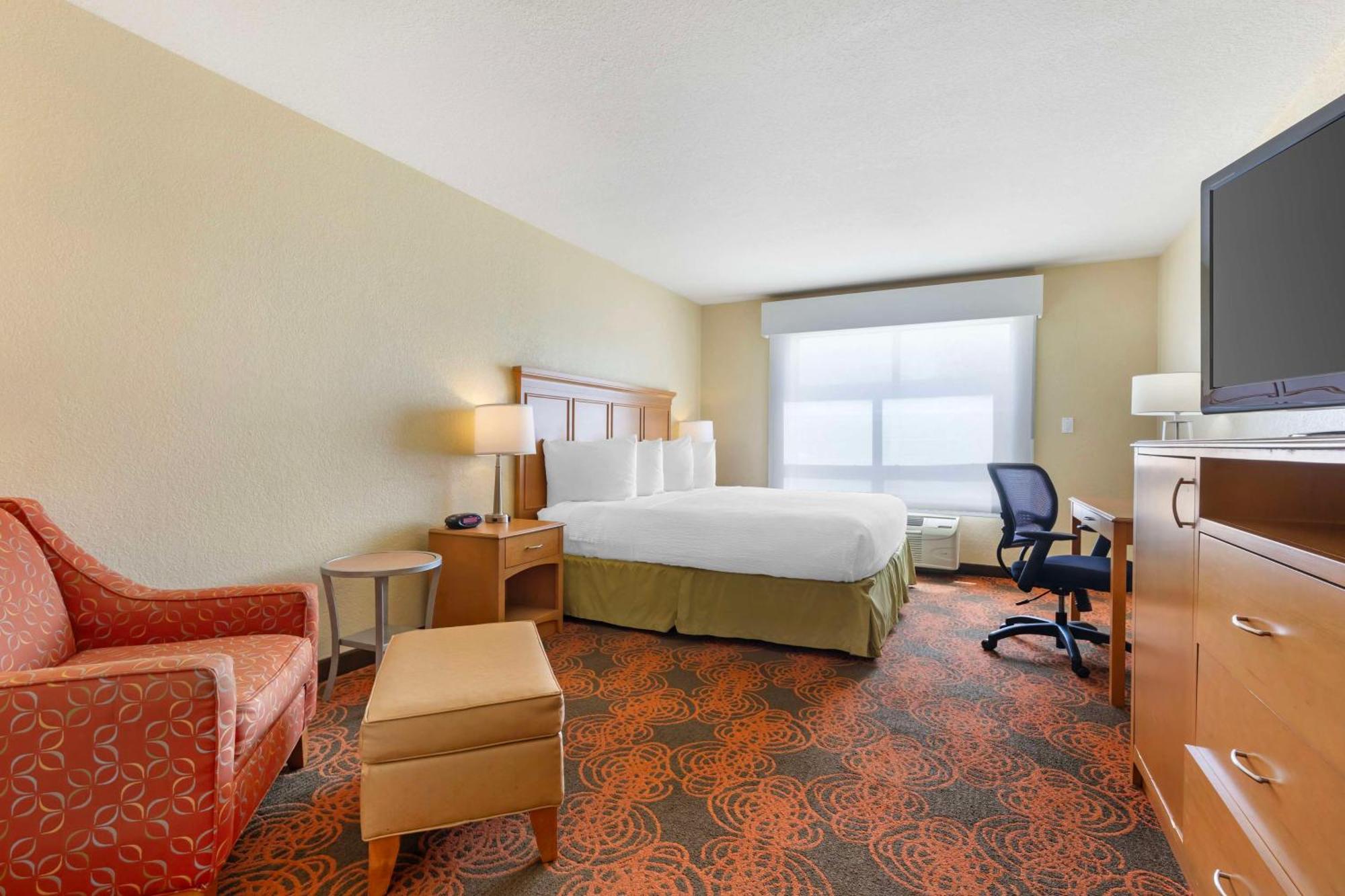 King Room Roll Shower Disability Access