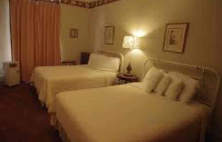 Standard Suite