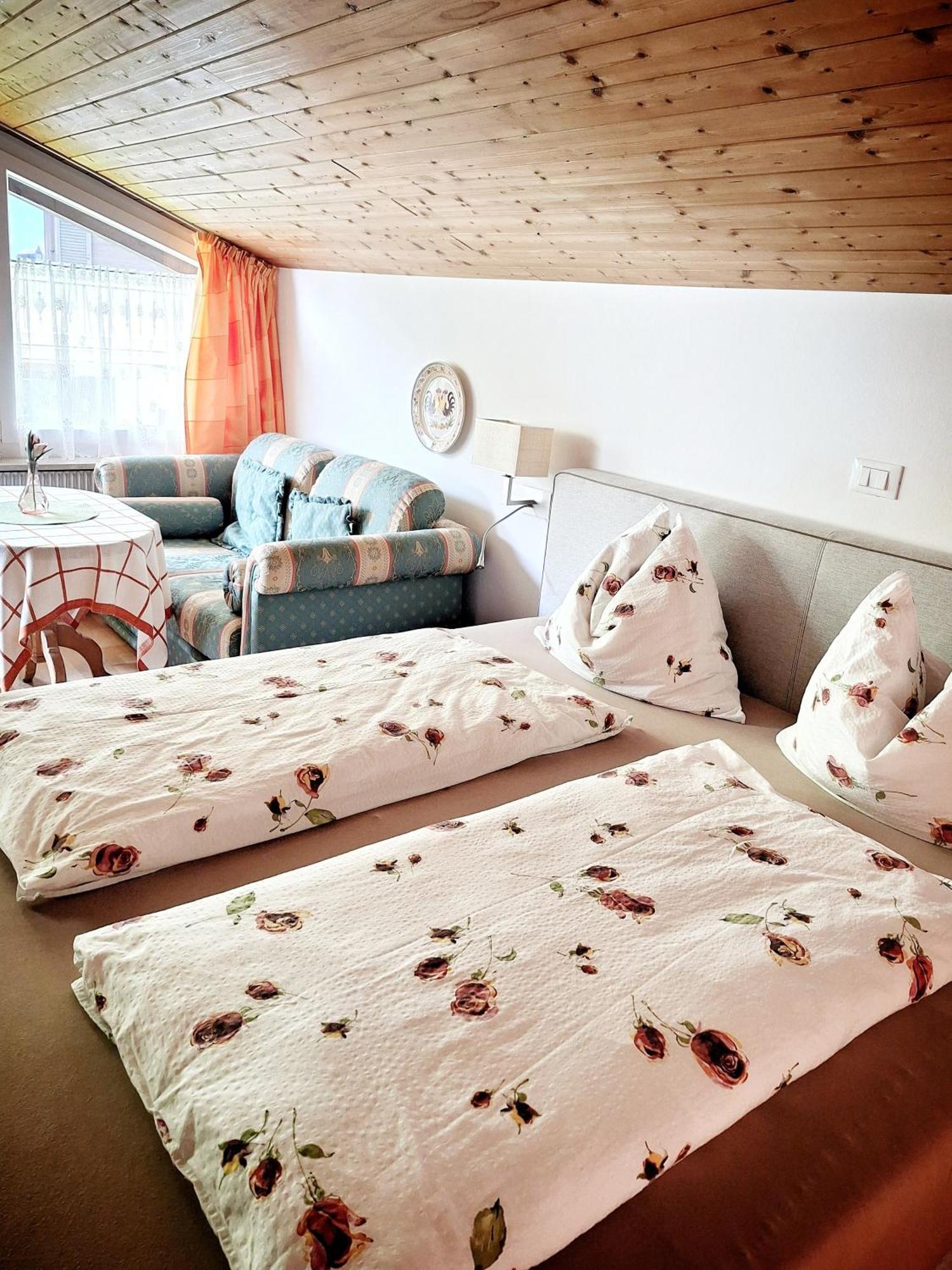 Double Room Mountain View