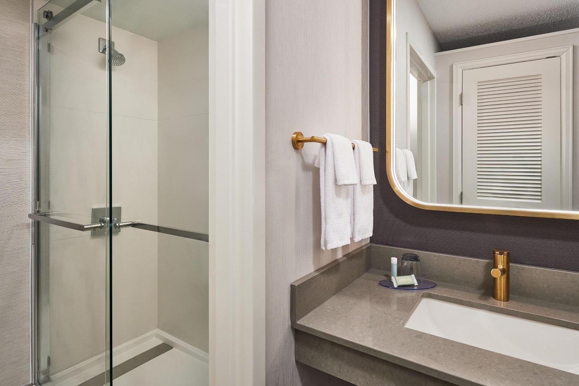 One-Bedroom King Suite with Sofa Bed