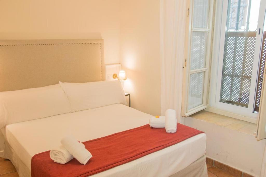 Economy Single Room,1622869301:JPEG