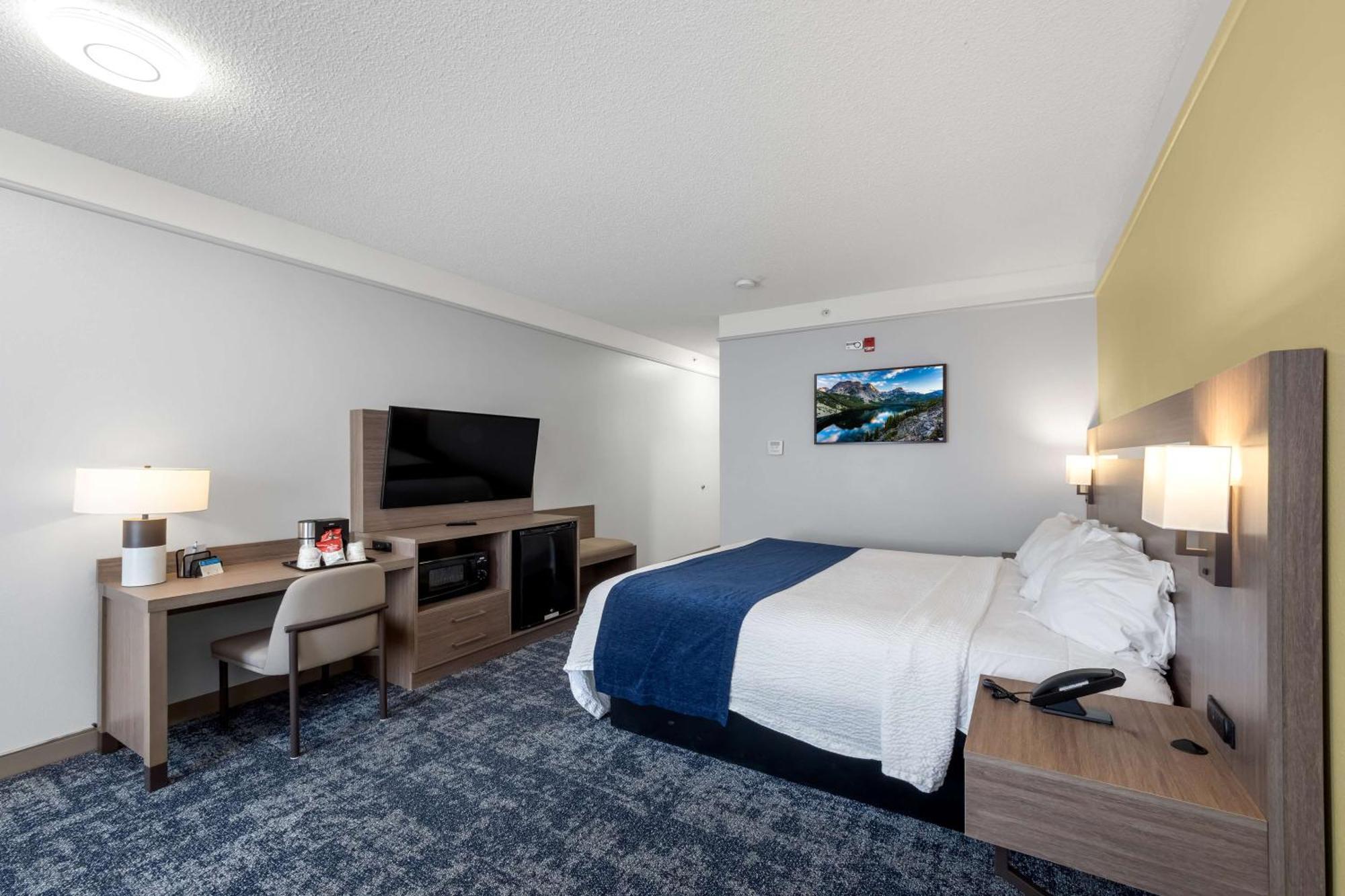 King Room