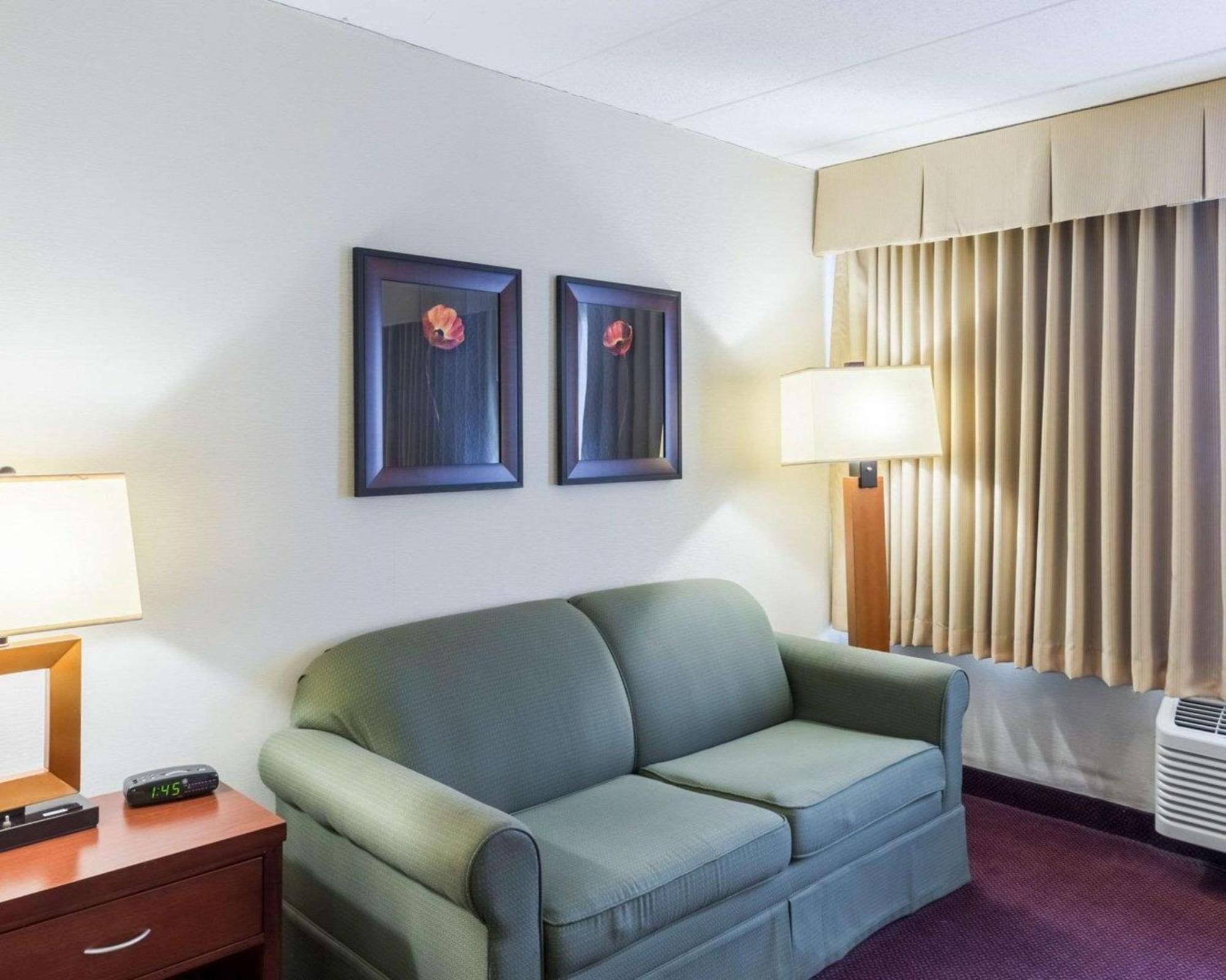 King Room Sofa Bed