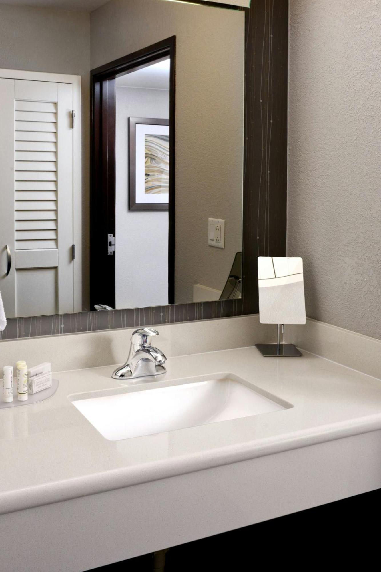 One-Bedroom Suite with 1 King Bed and Sofa bed