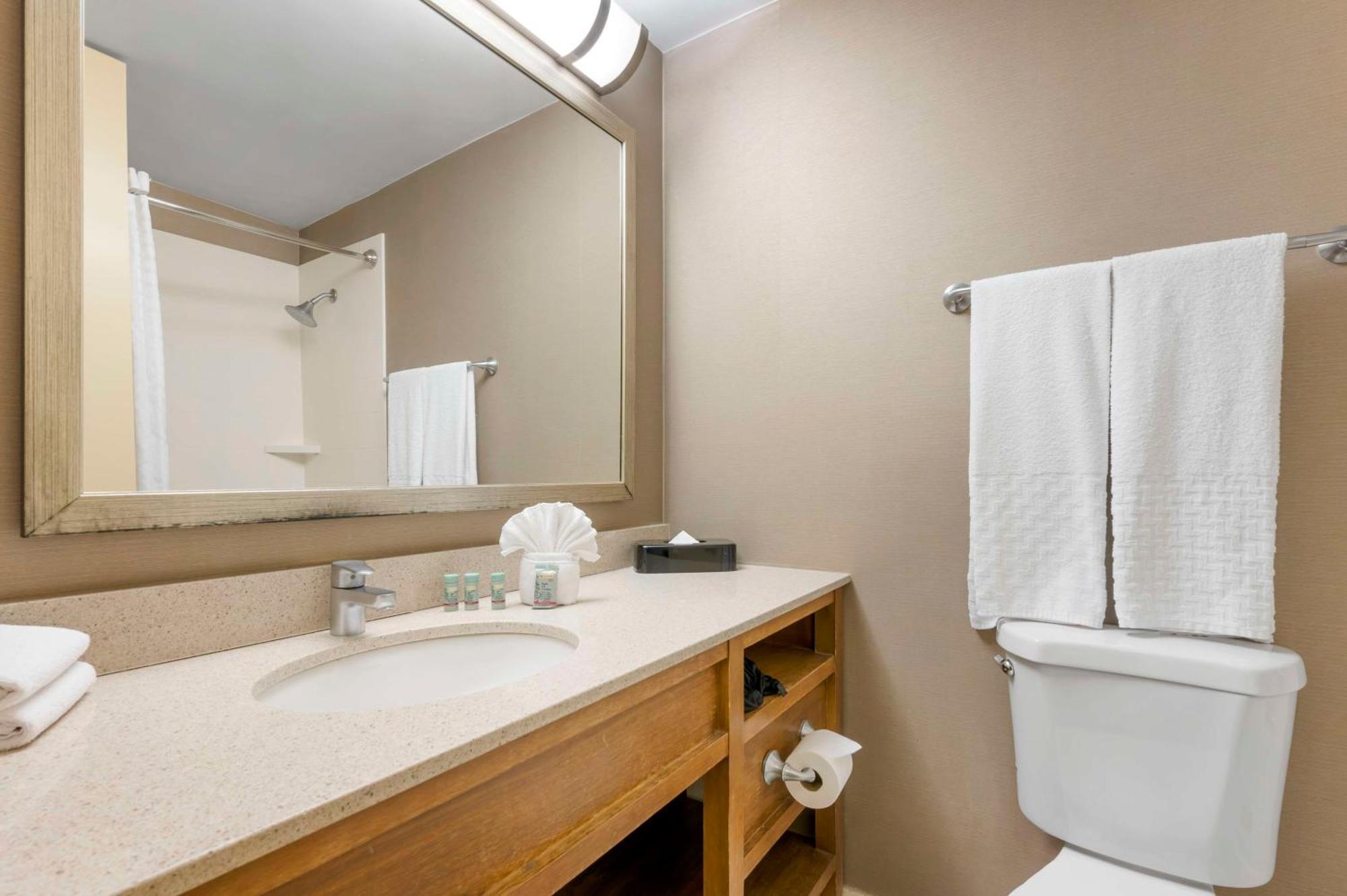 Double Room Two Double Beds Non-Smoking
