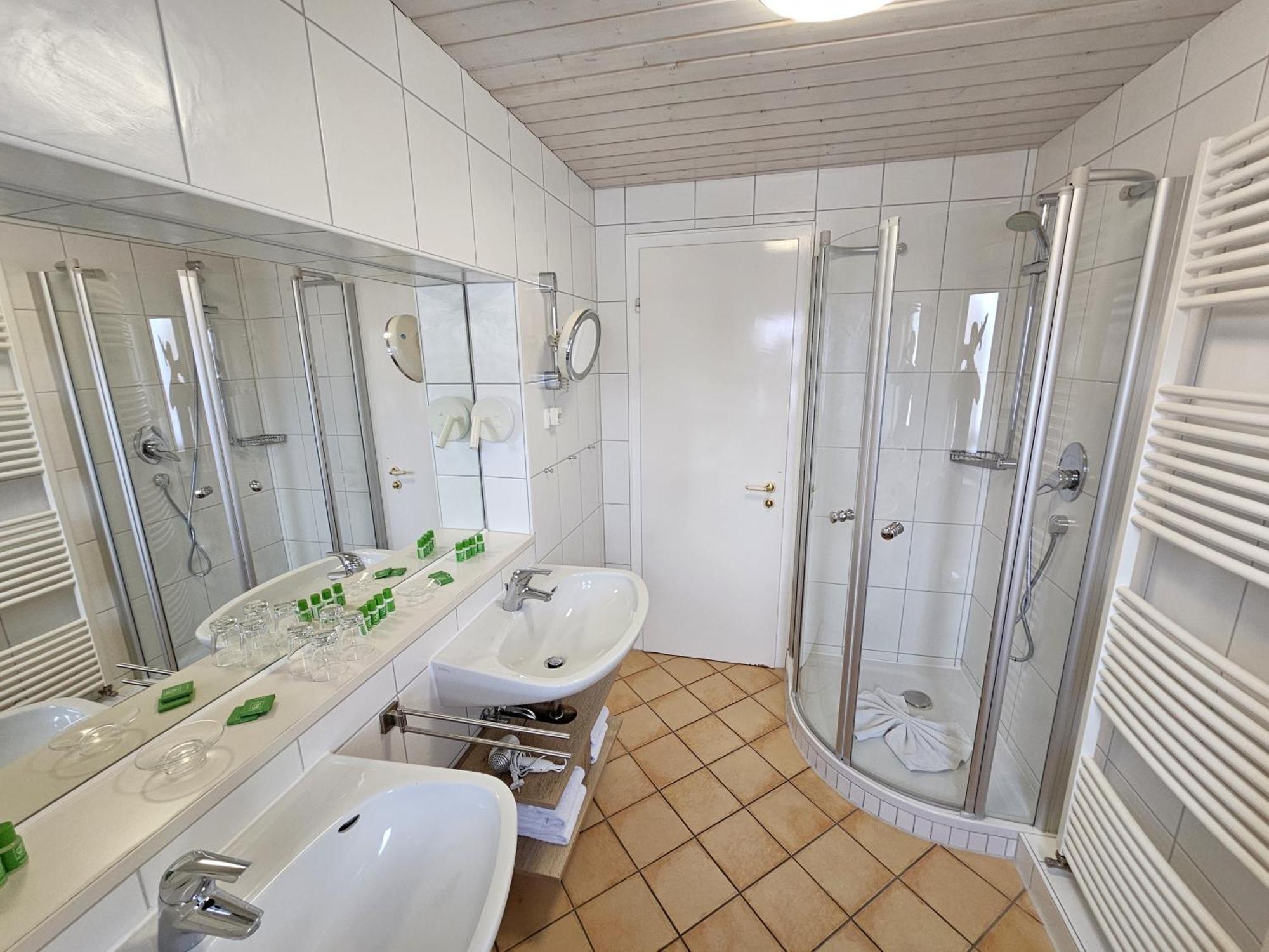 Junior Suite Mountain View