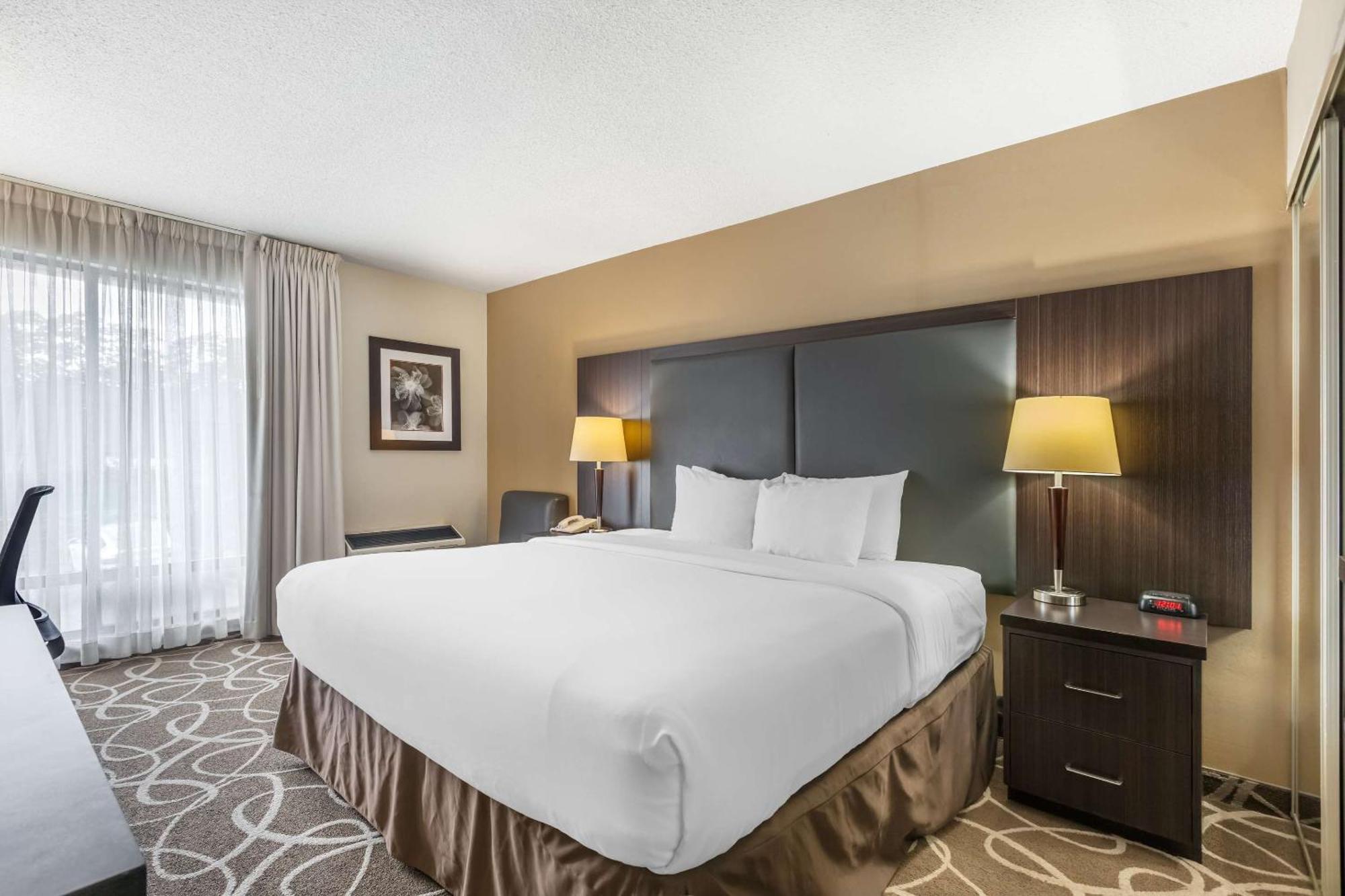 Standard King Room - Top Floor