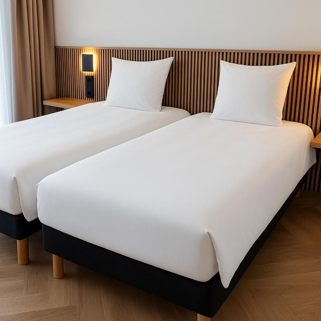 Deluxe Twin Room,1672571688:JPEG