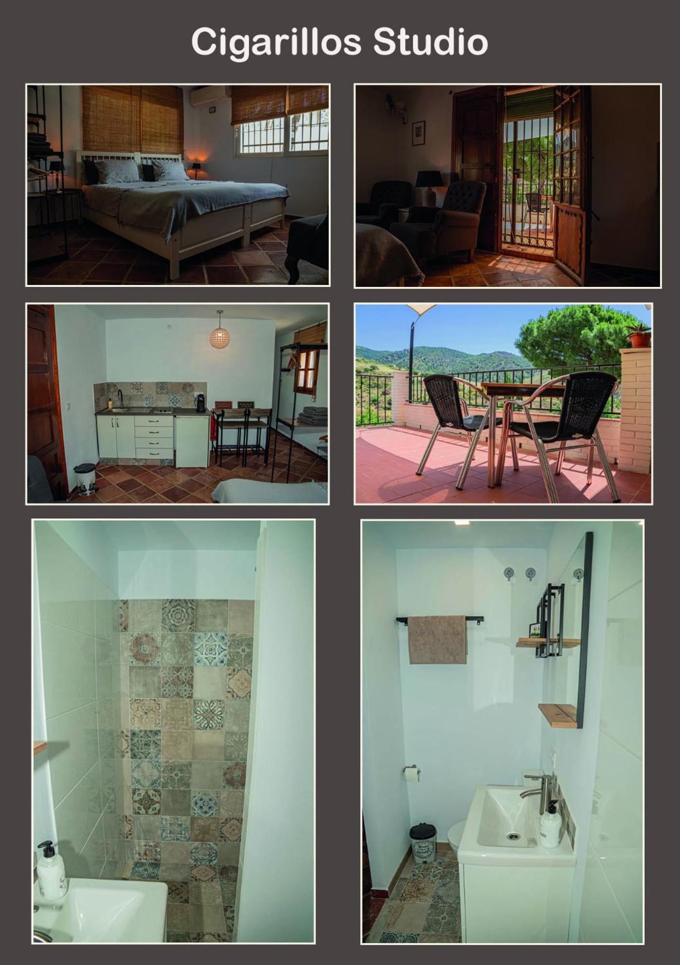 Estudio con vistas a las montañas
