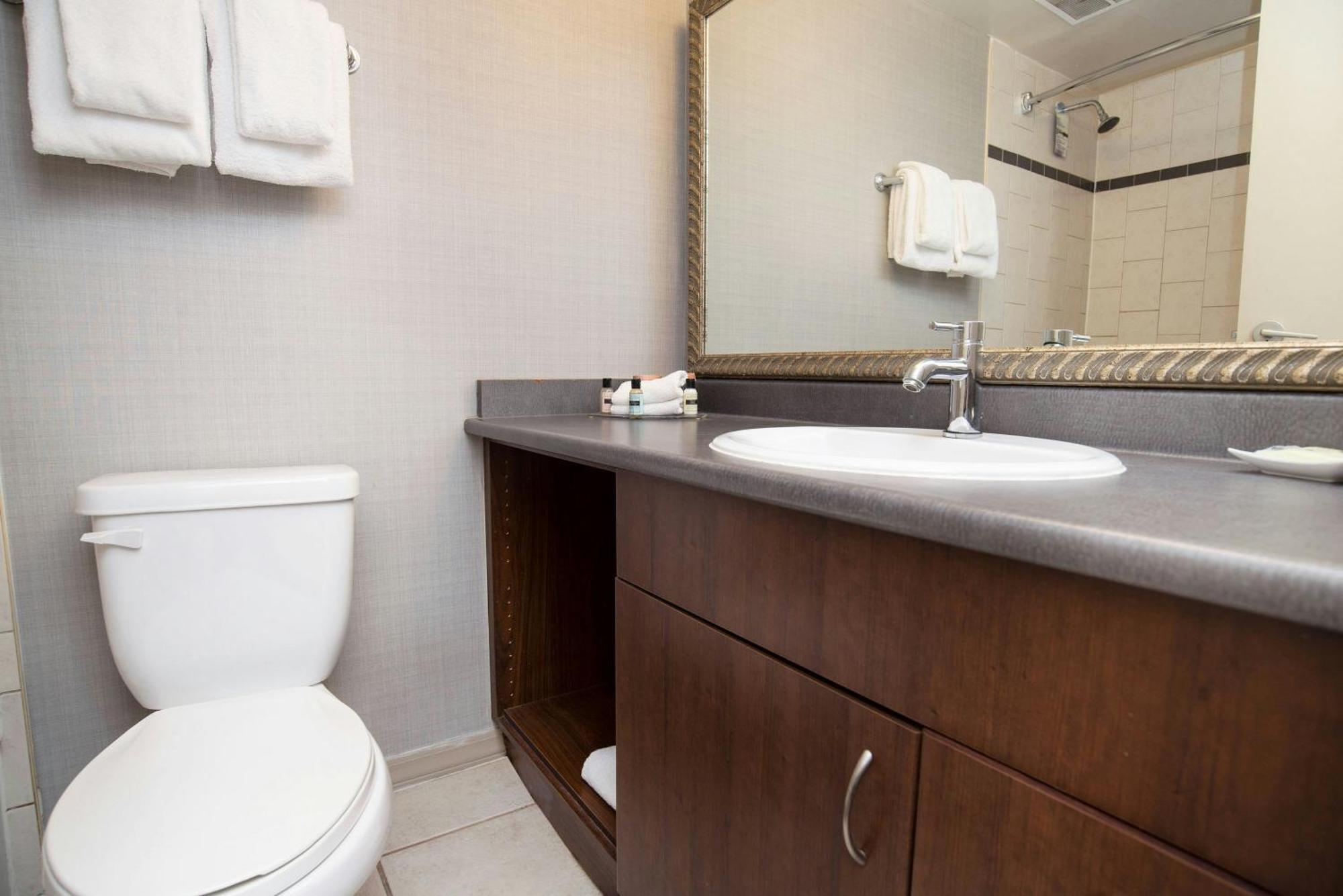 City View Suite, 1 Queen Bed, Sofa Bed, Kitchen, W/D, Balcony