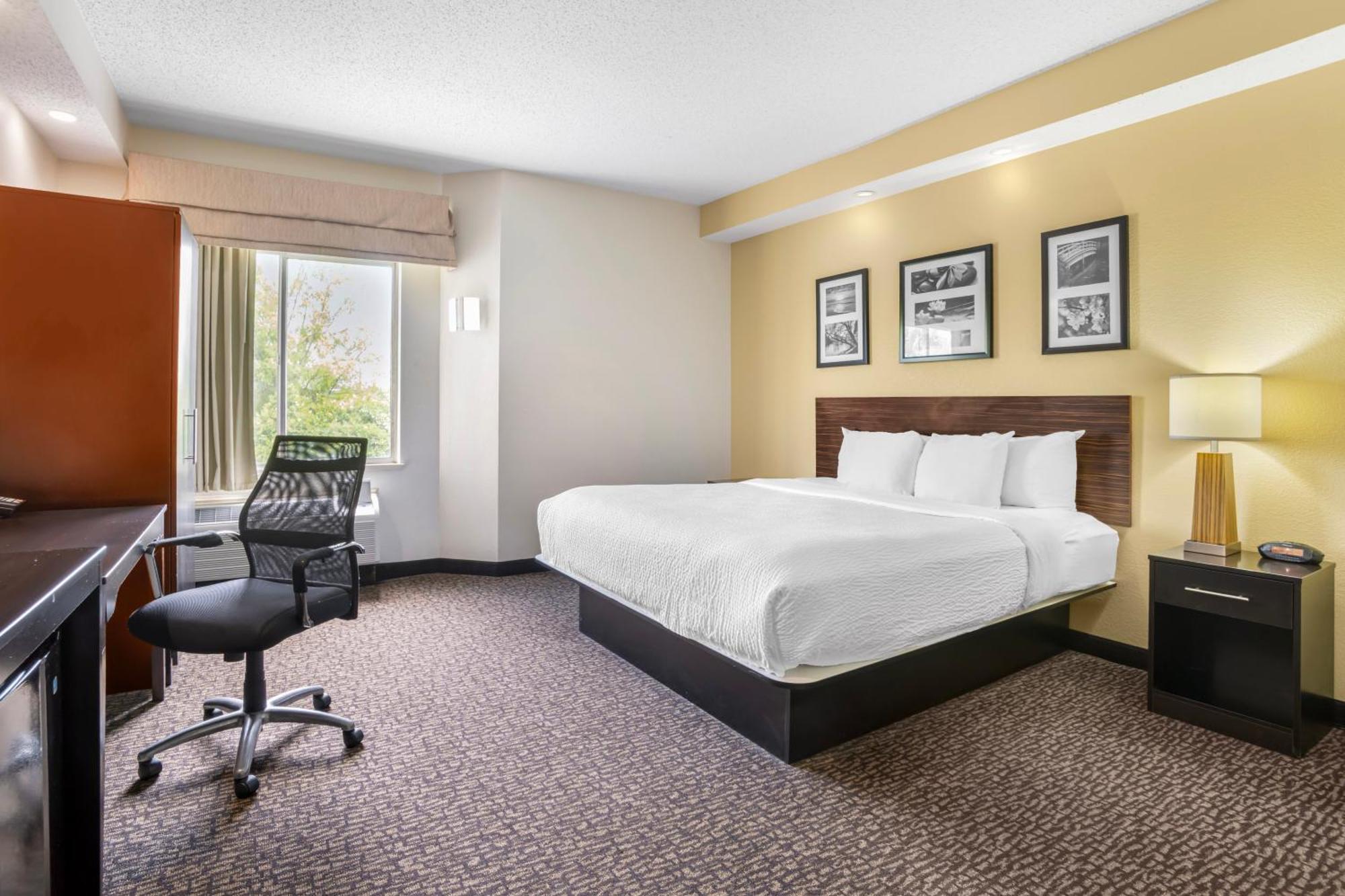 King Room - Non-Smoking
