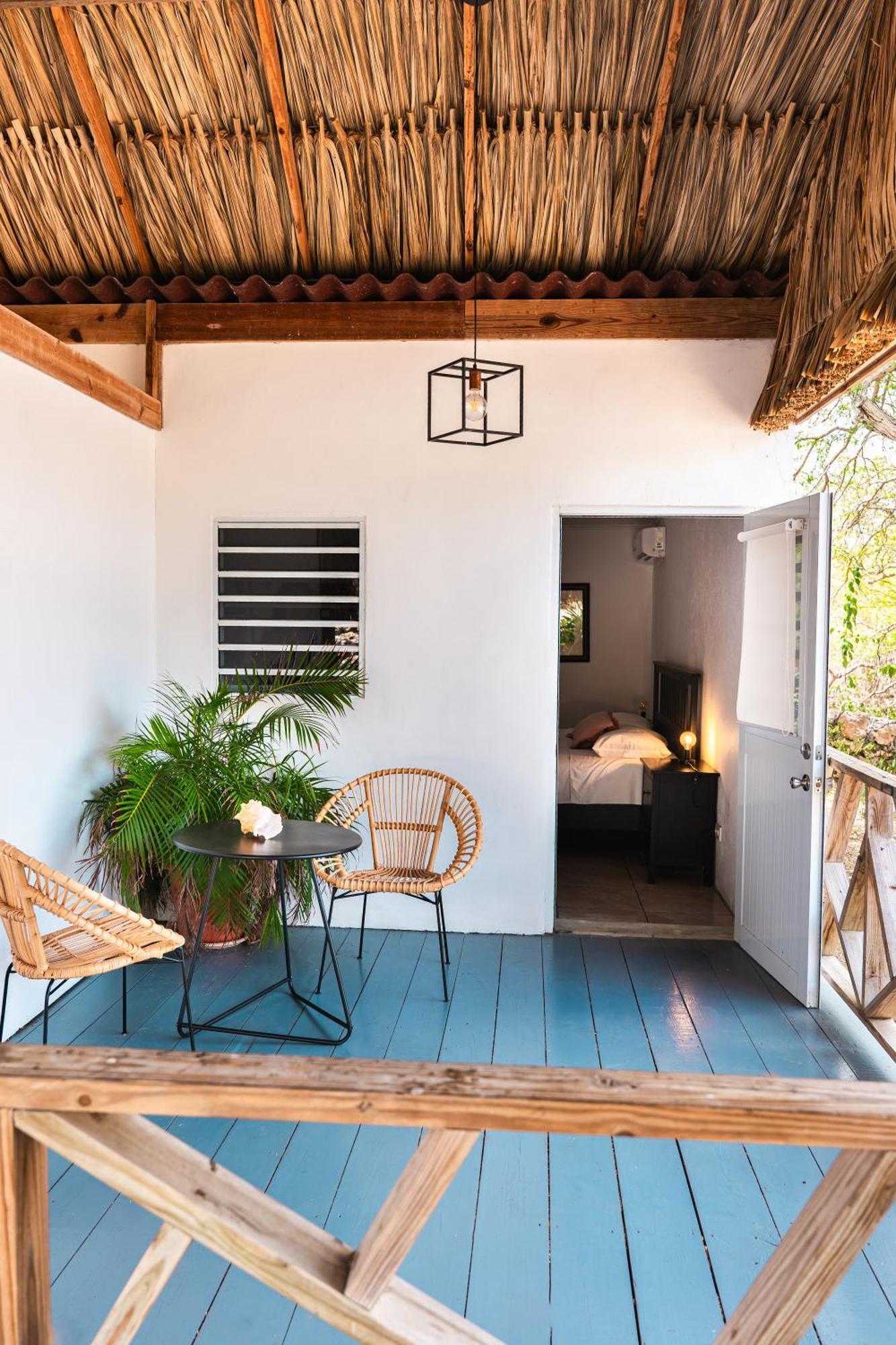 Suite Terrace