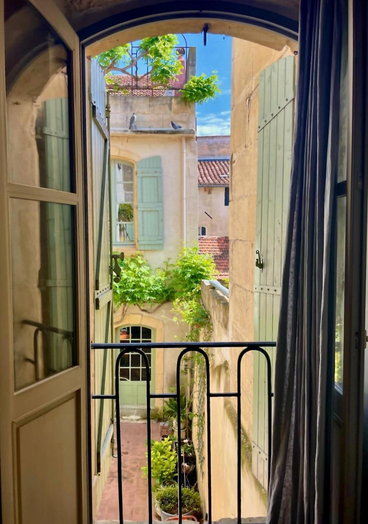King Room Garden View