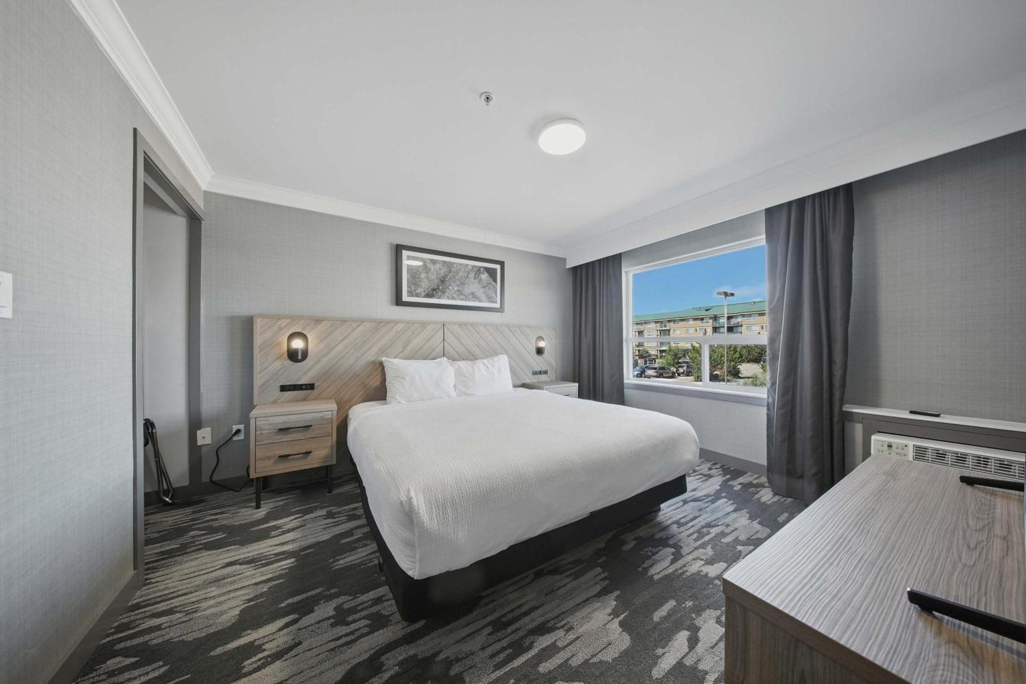 Grand Suite, 1 King Bed, Sofa Bed, Kitchenette