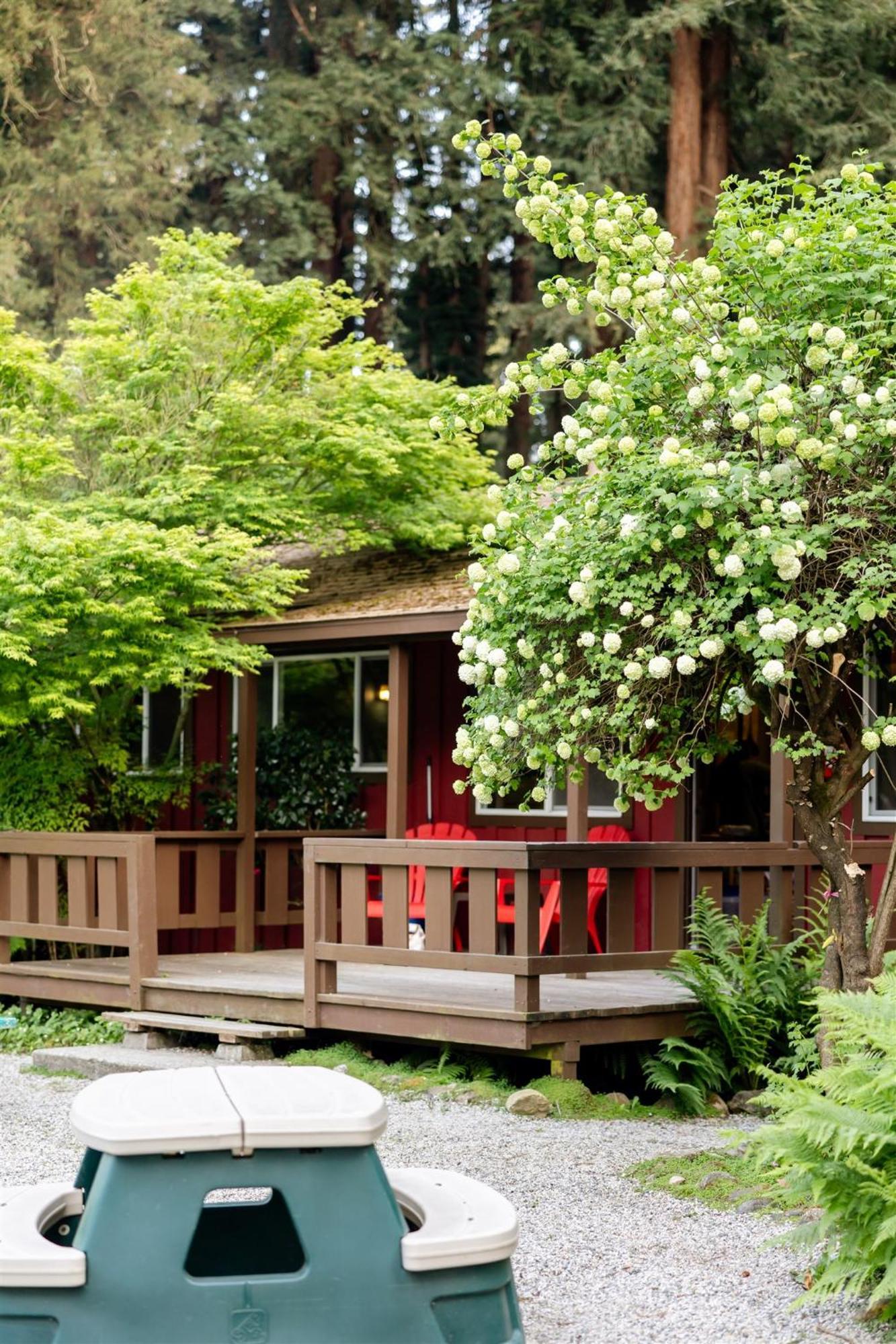 One Bedroom Family Cabin (Cabin 5)