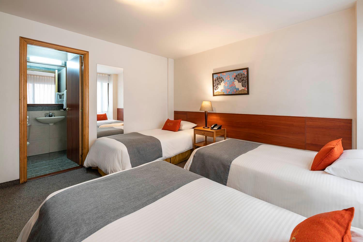 Basic Triple Room