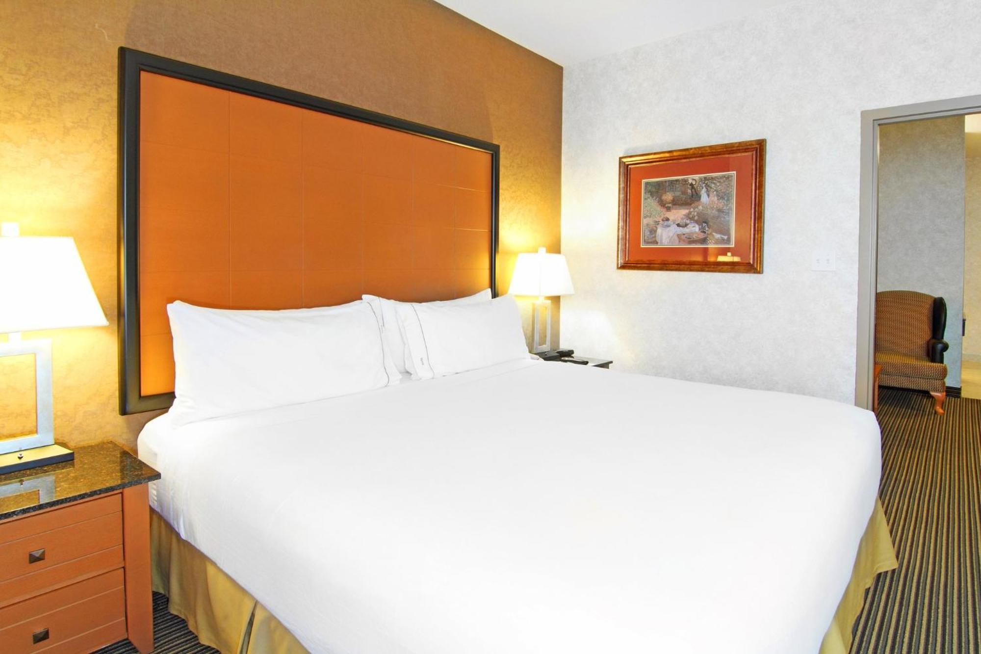 King Suite with Sofa Bed