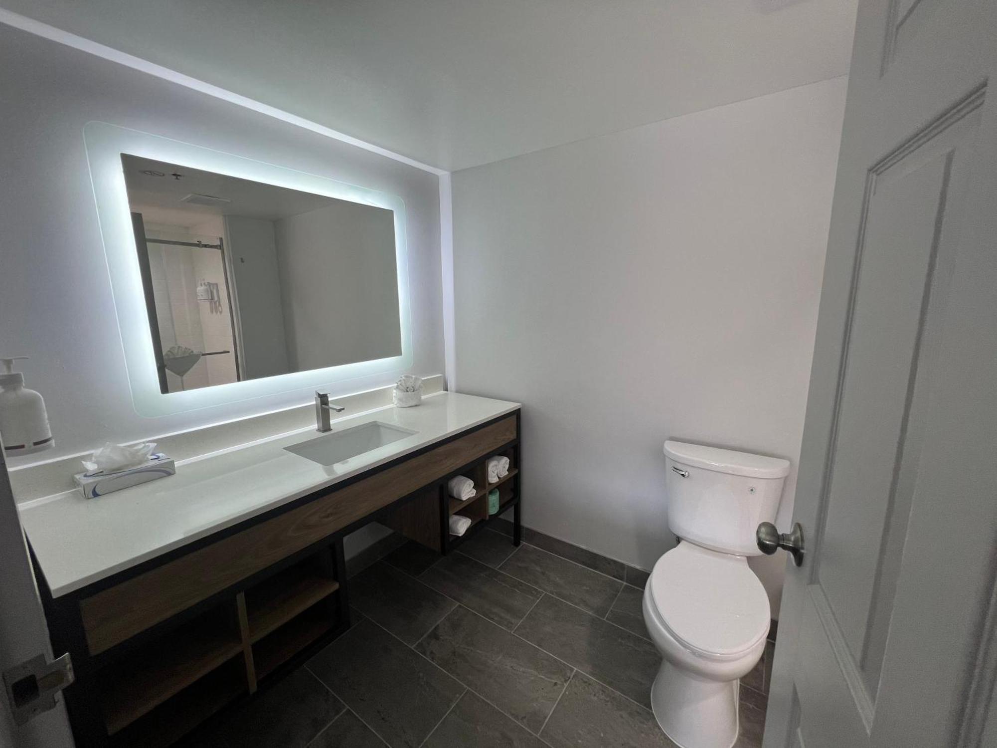 King Room - Disability Accessible/Non-Smoking