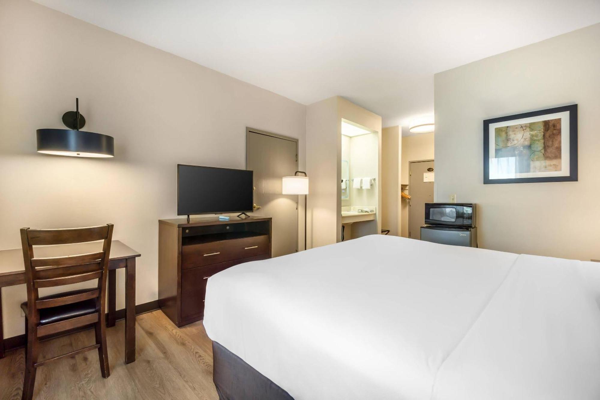 King Room - Disability Access,1742826511:JPEG