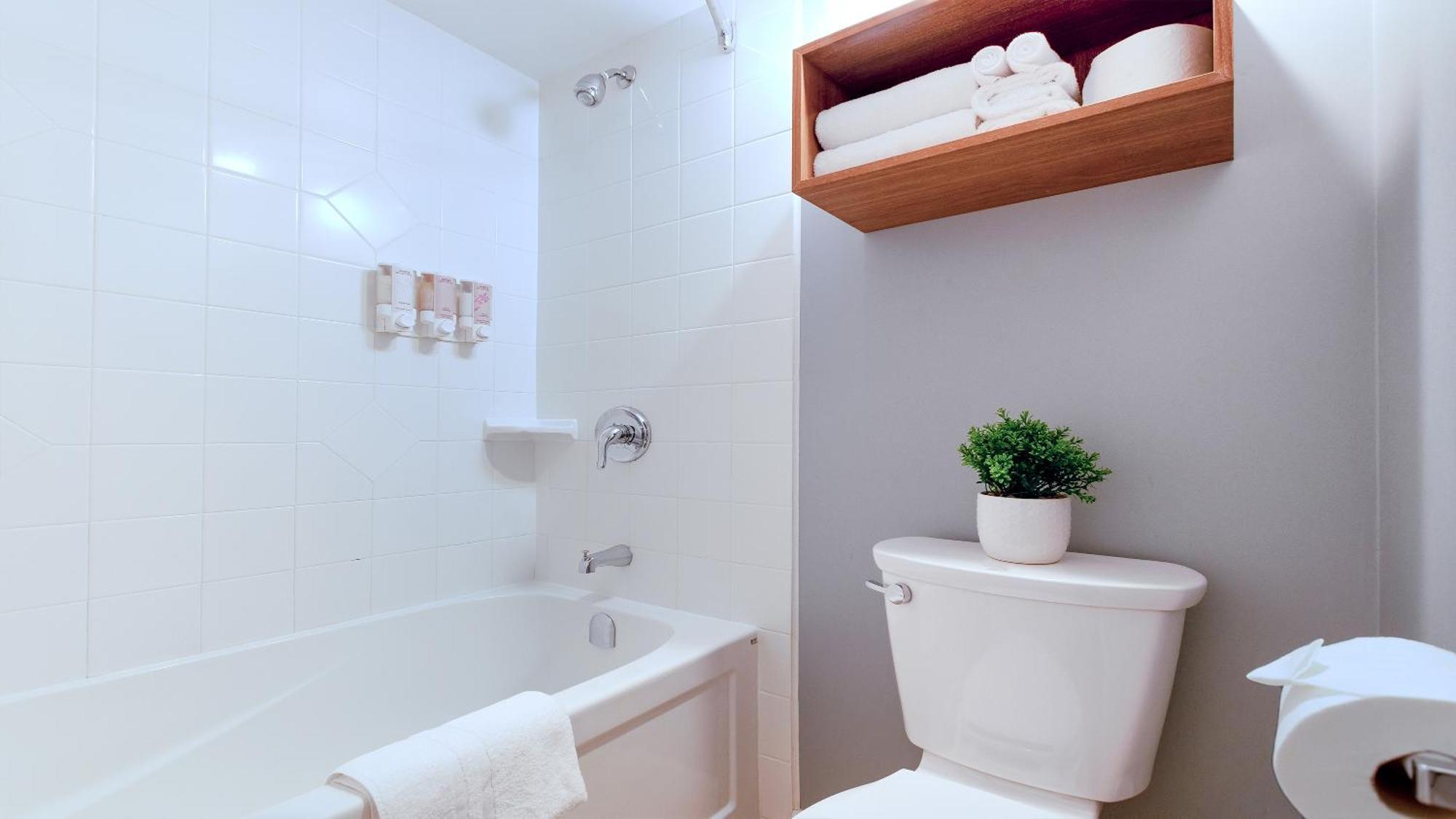 Deluxe Family Suite
