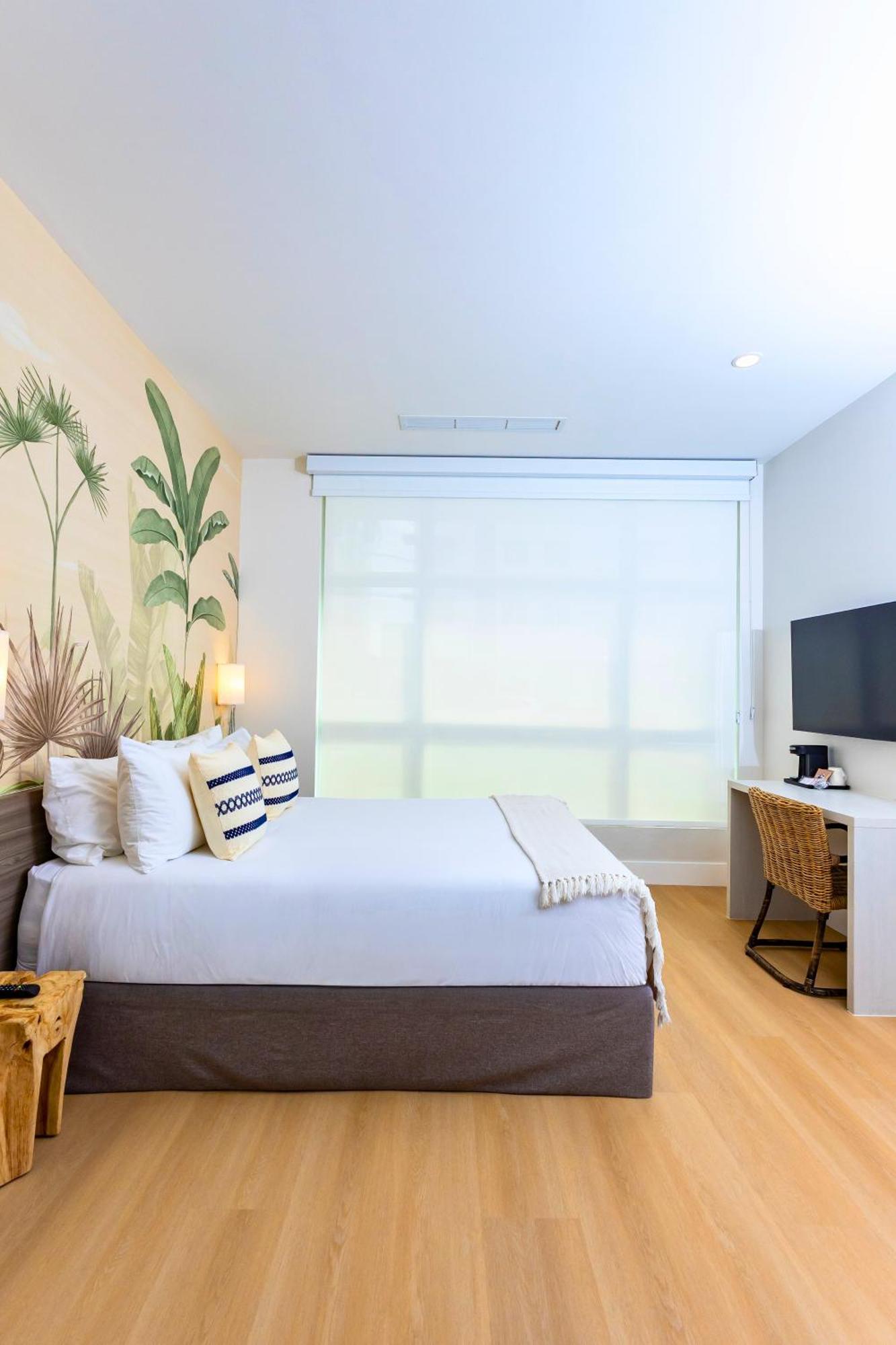 Queen Room - Disability Access