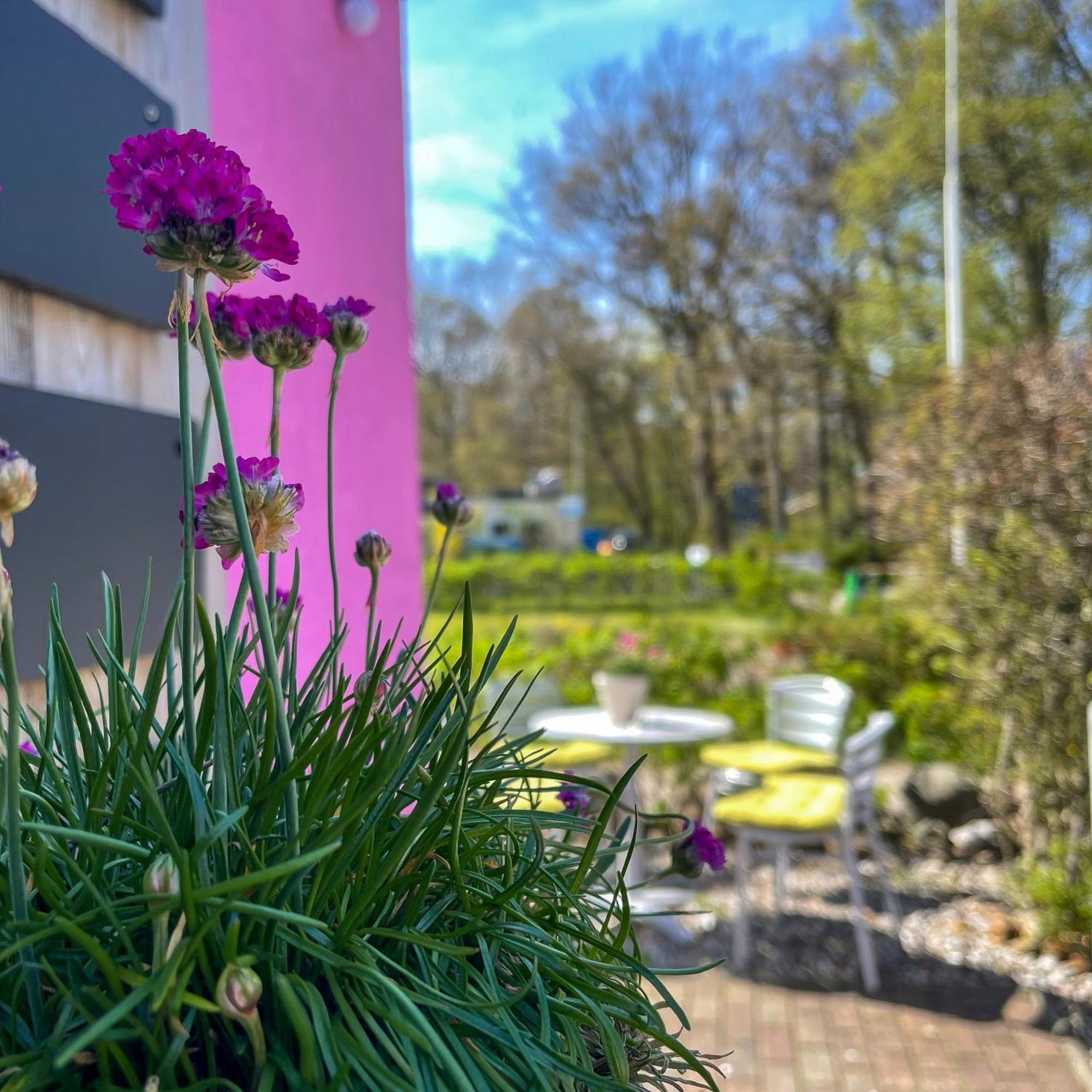 Double Room Garden View