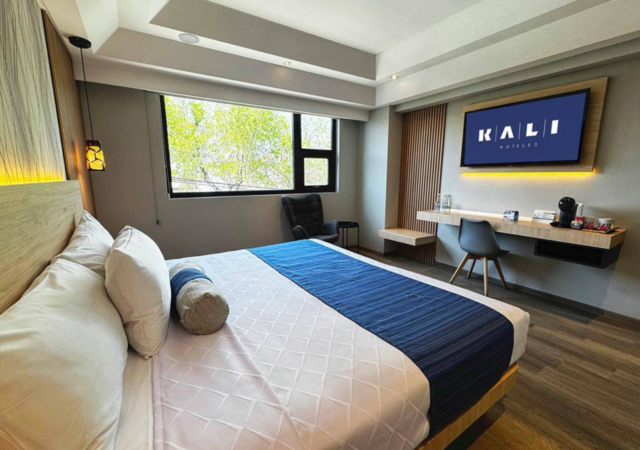 Superior King Room,1765381875:JPEG