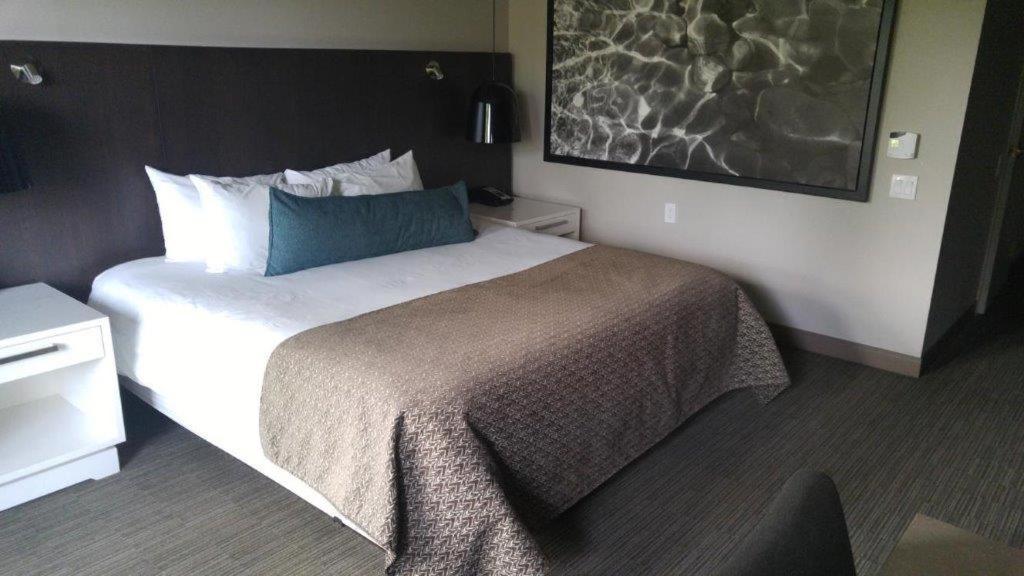 Accessible King Room Resort View