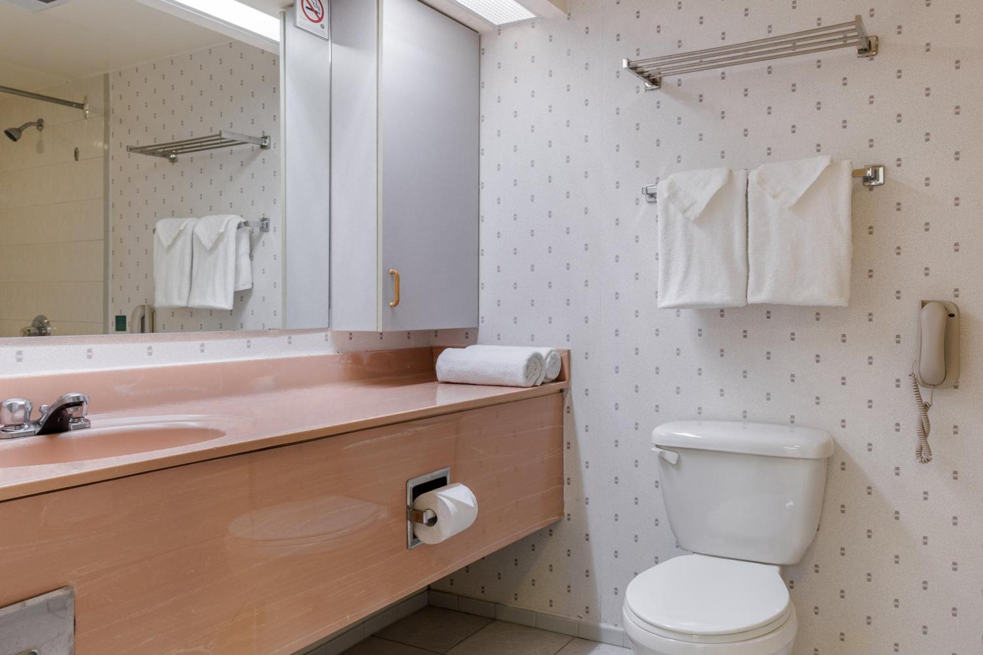 Deluxe King One Bedroom Suite
