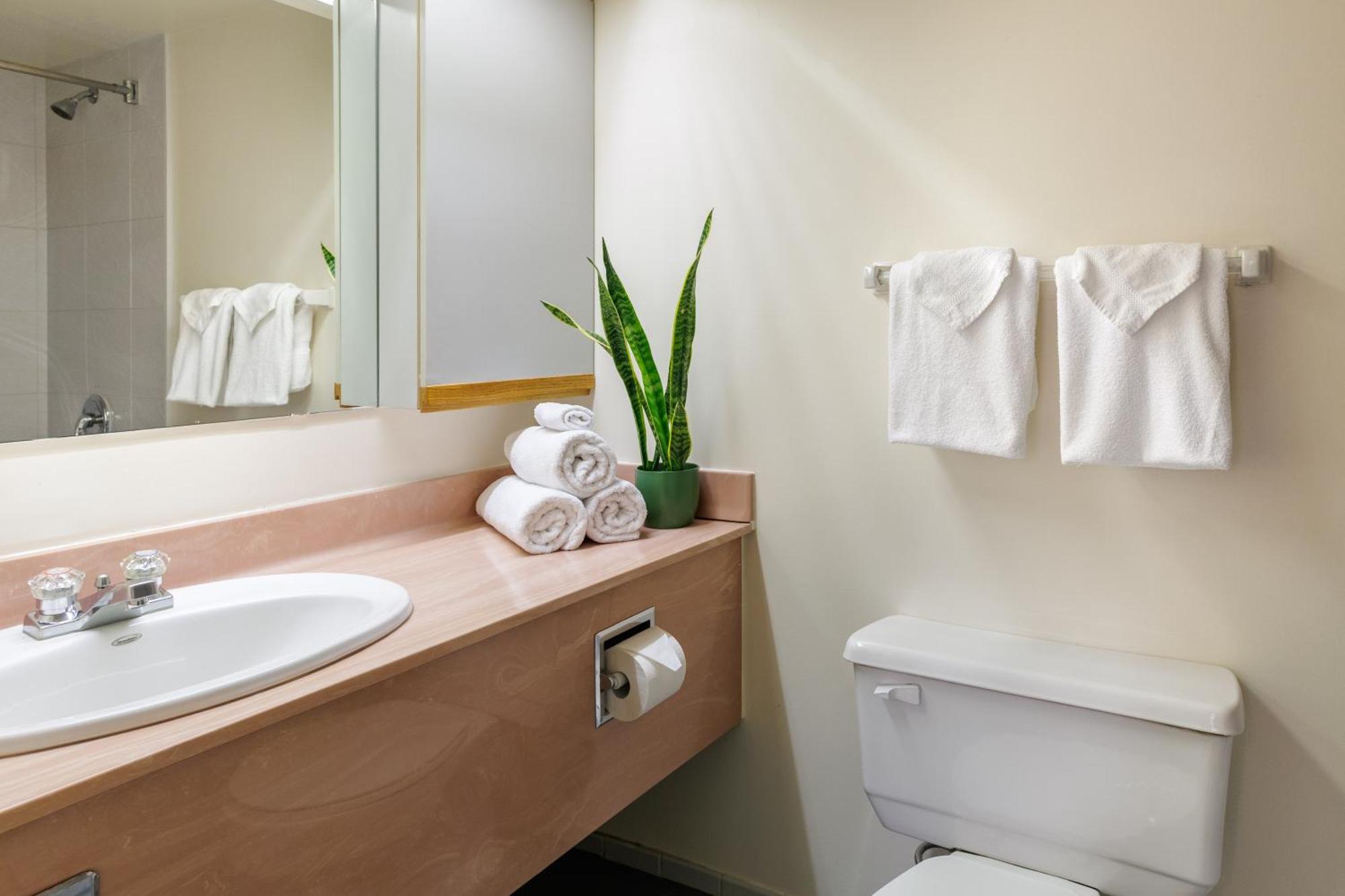 Executive Studio Suite
