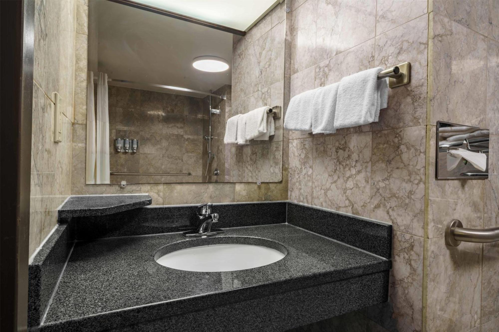Queen Suite with Sofa Bed - Accessible, Roll-in Shower