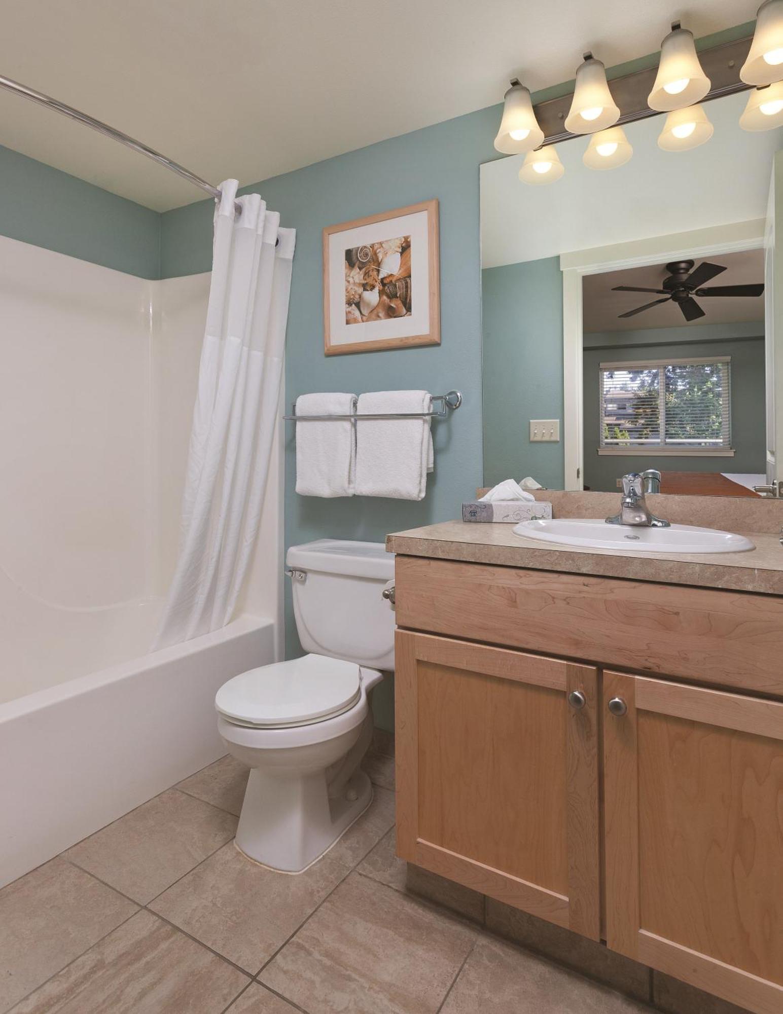 One-Bedroom Apartment (King Bed and Murphy Bed)