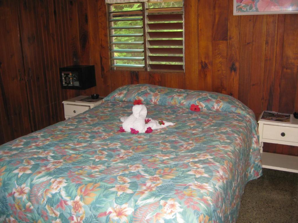 Standard Queen Room No AC No TV