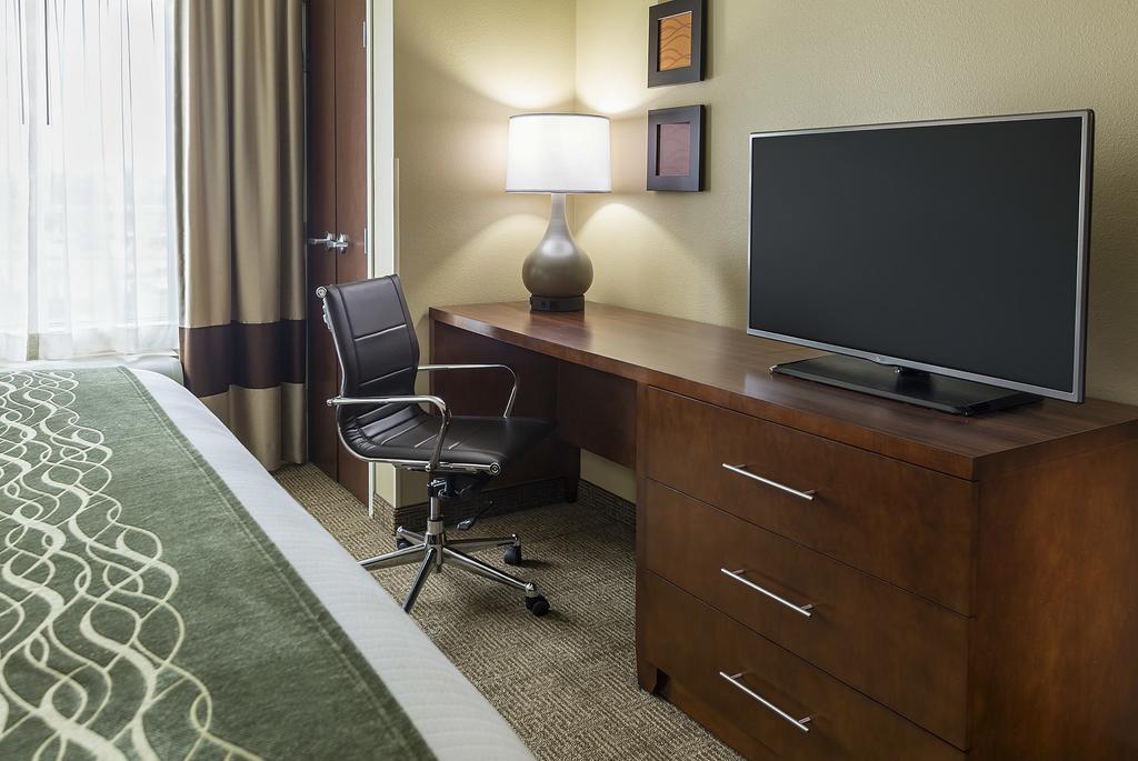 King Suite with Sofa Bed - Non-Smoking