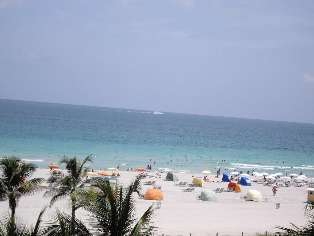 One-Bedroom King Suite Top Floor Lummus Park View - Unit D303