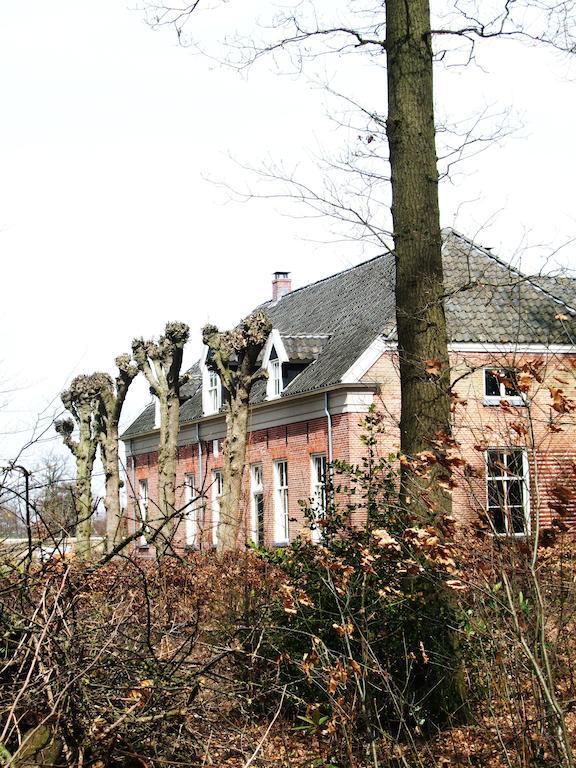Suite (4 Volwassenen)