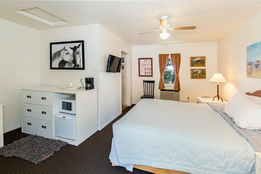 Wild Horse Room a King Bed Shower Mountain View