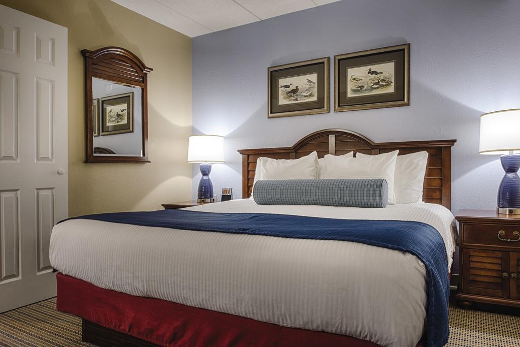 One-Bedroom Suite,703934365:JPEG